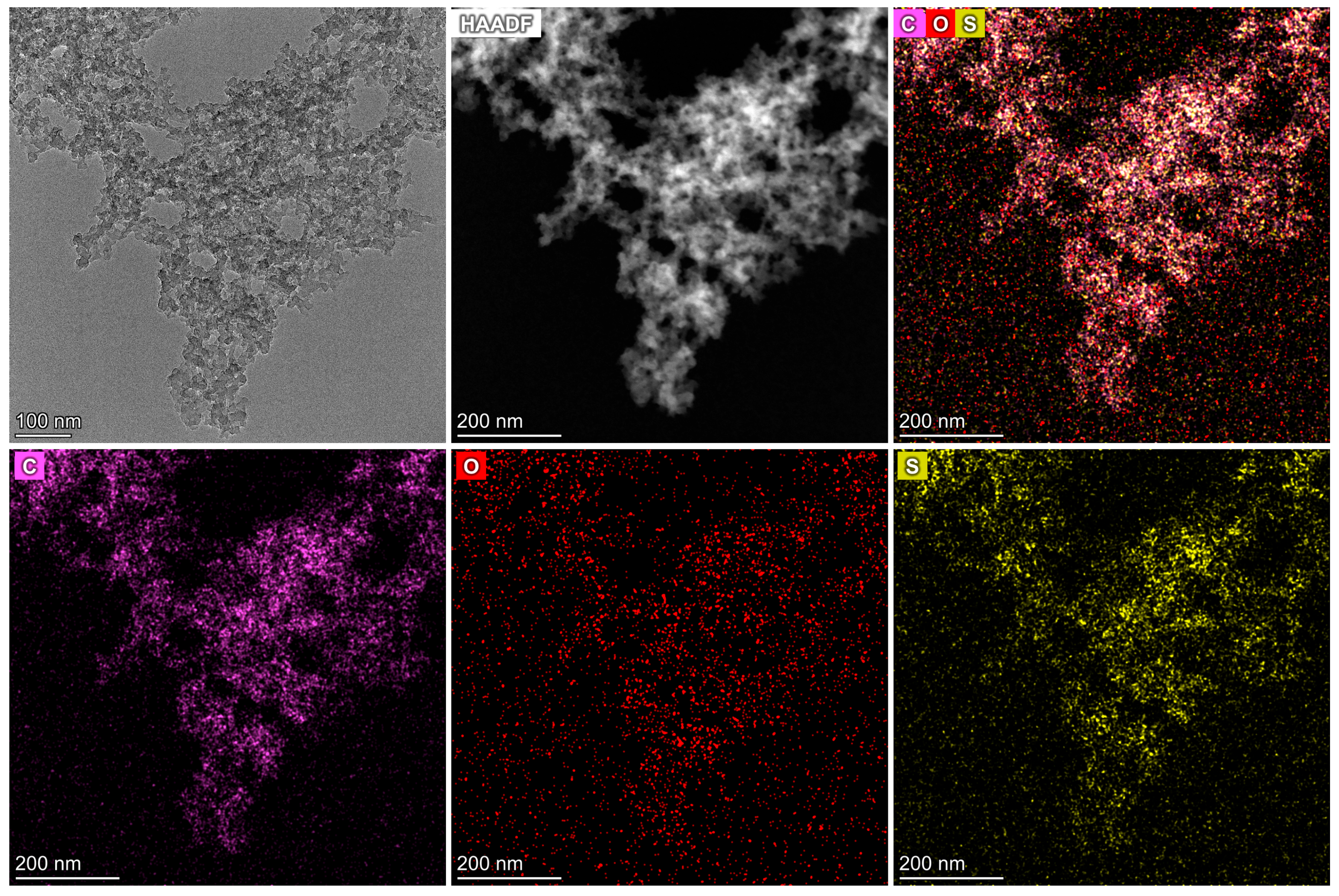 Molecules 31 00729 g002 Molecules 31 00729 g002