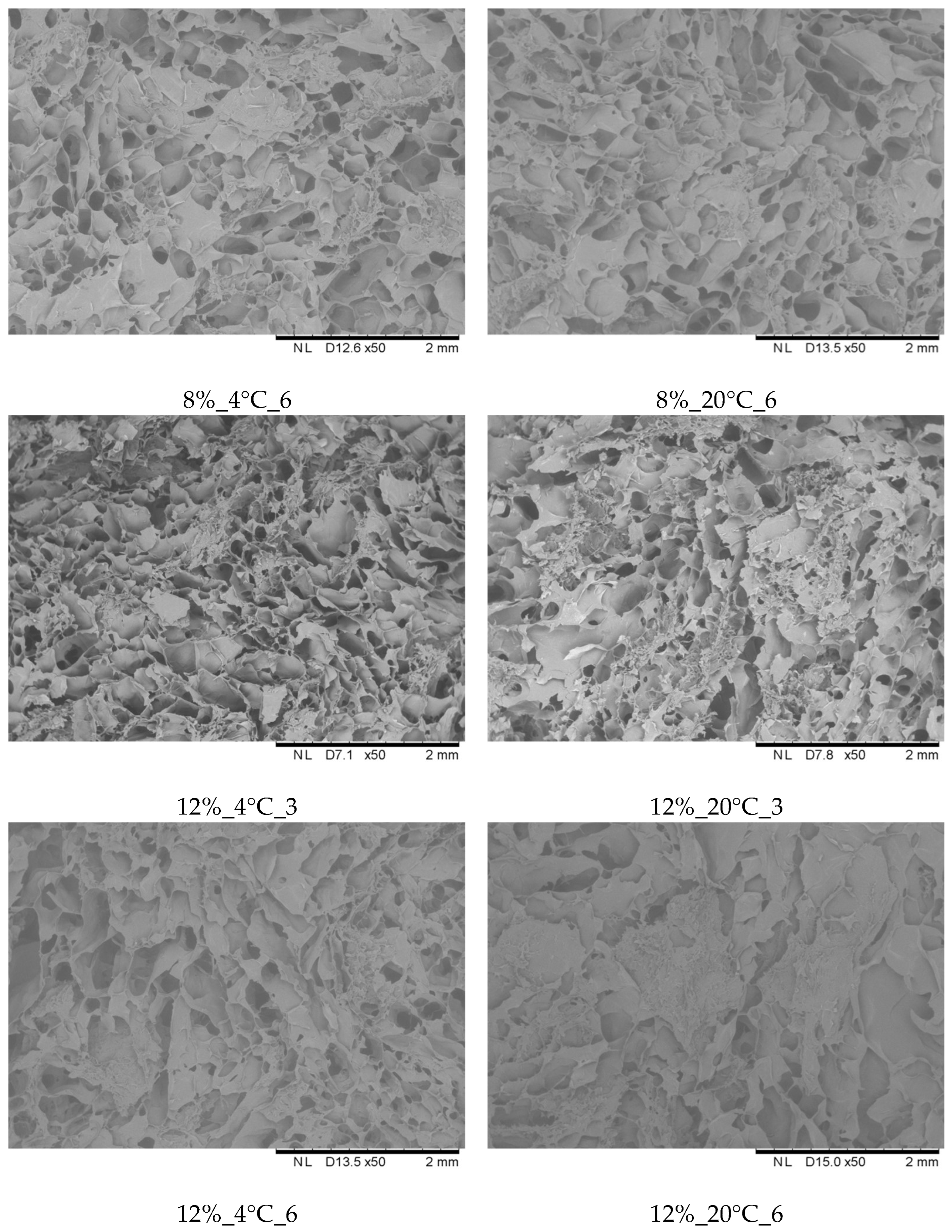 Molecules 31 00747 g007b Molecules 31 00747 g007b