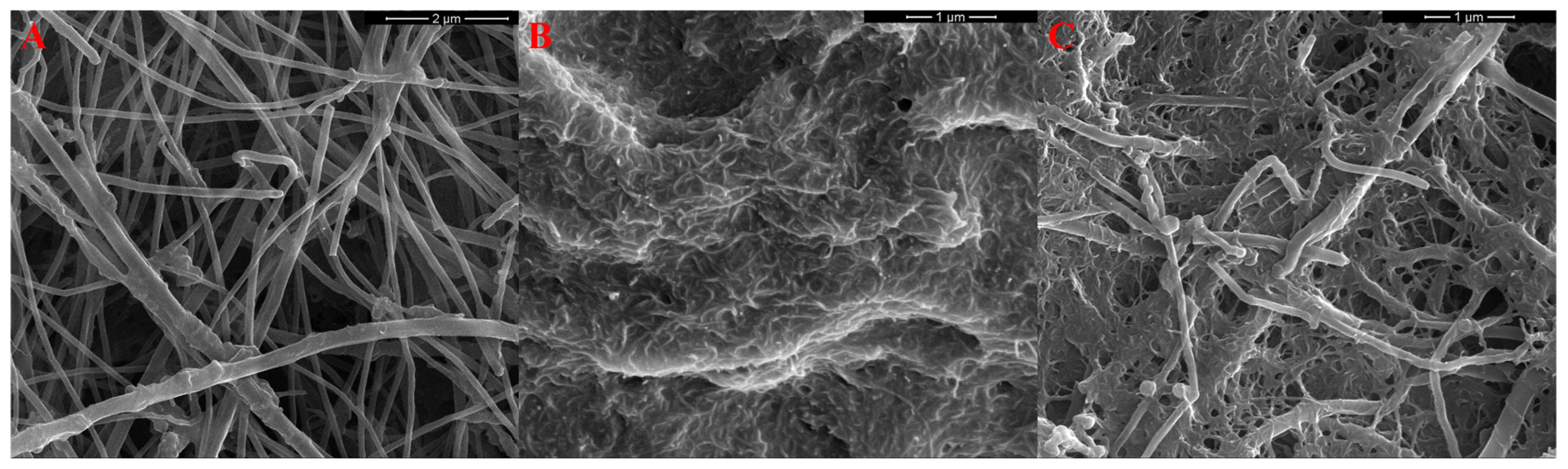Molecules 31 00759 g008