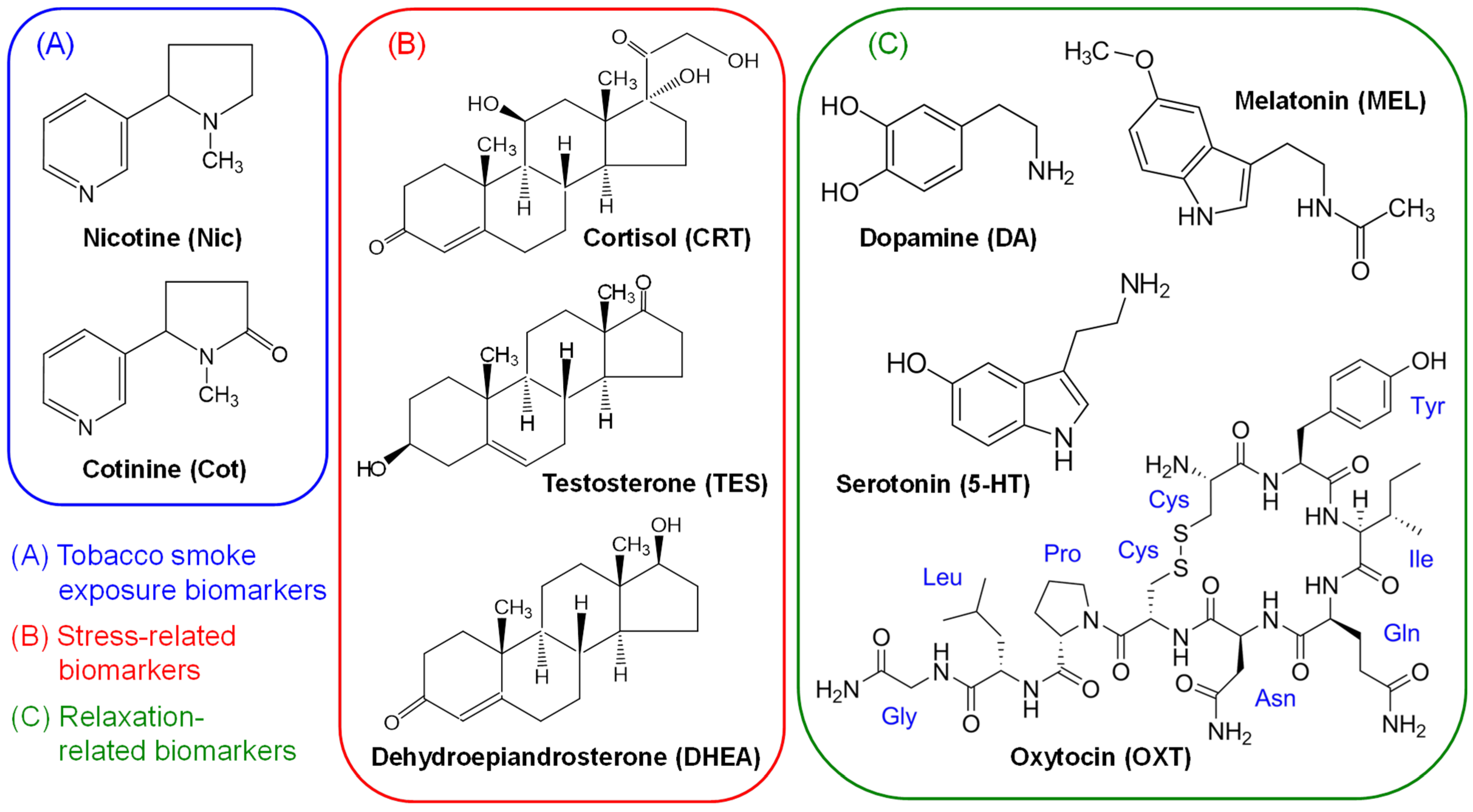Molecules 31 00770 g001