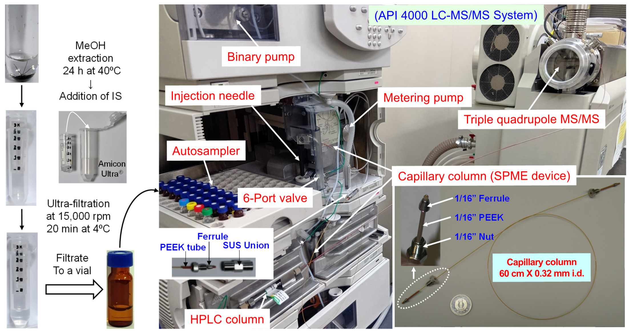 Molecules 31 00770 g007