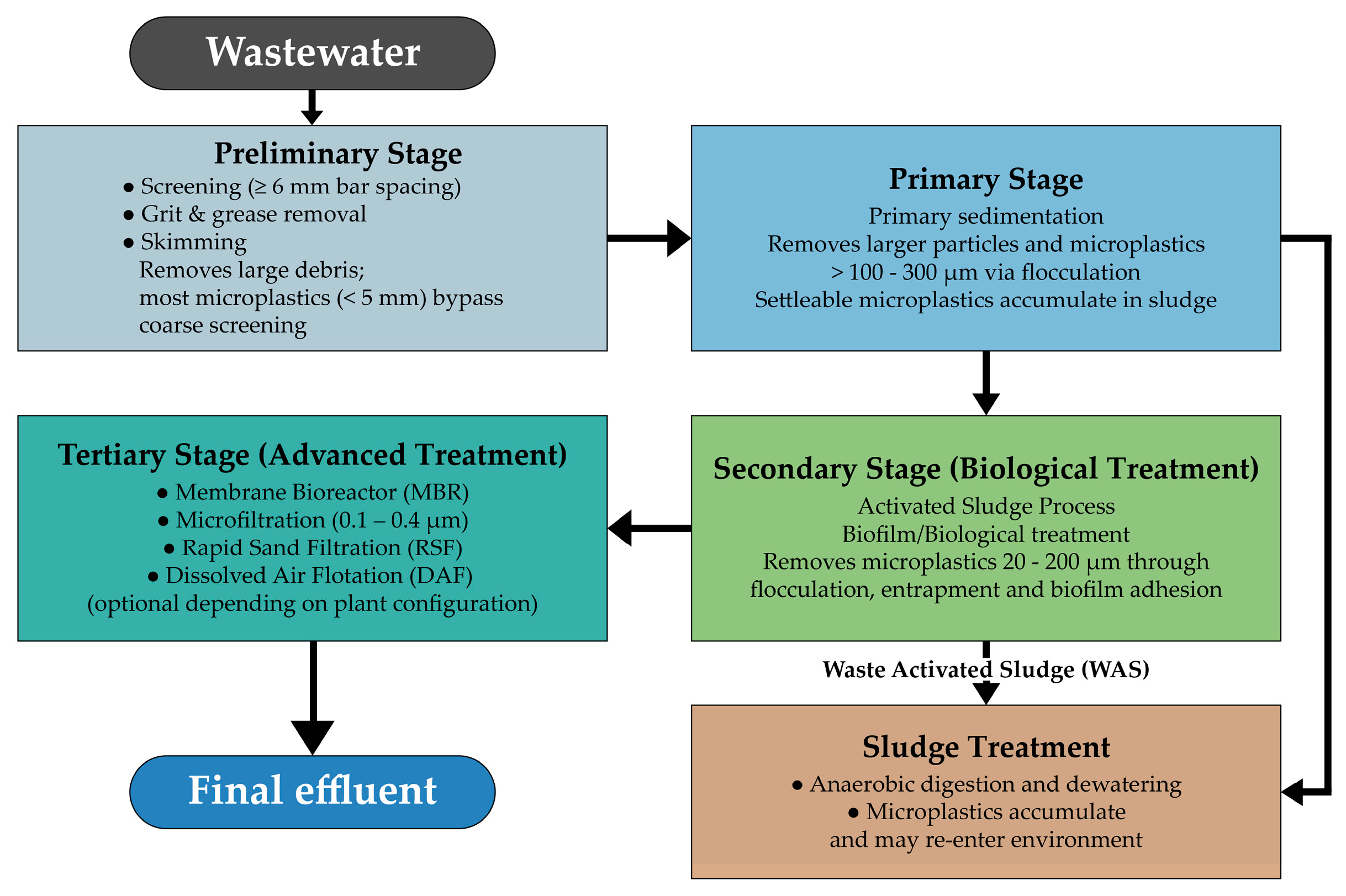 Molecules 31 00798 g002