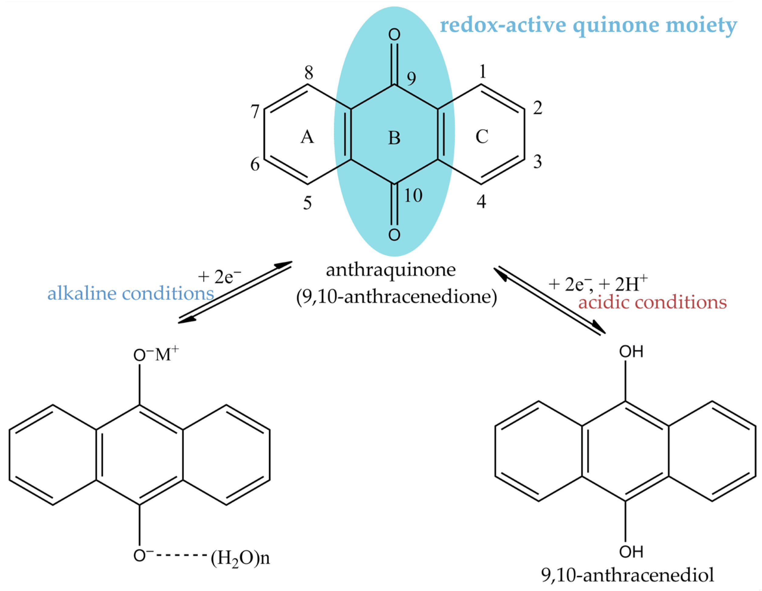 Molecules 31 00833 g001 Molecules 31 00833 g001