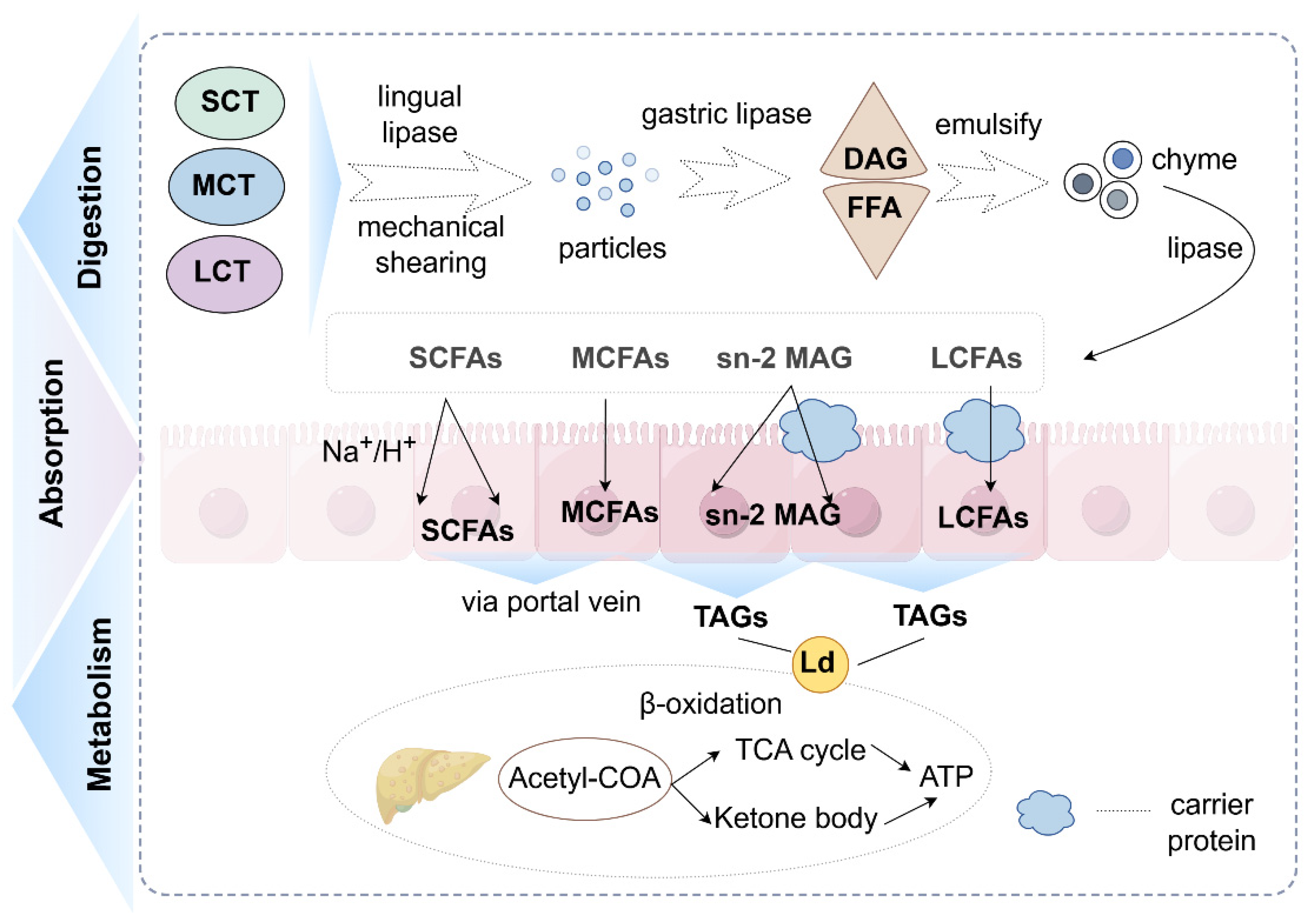Molecules 31 00841 g001