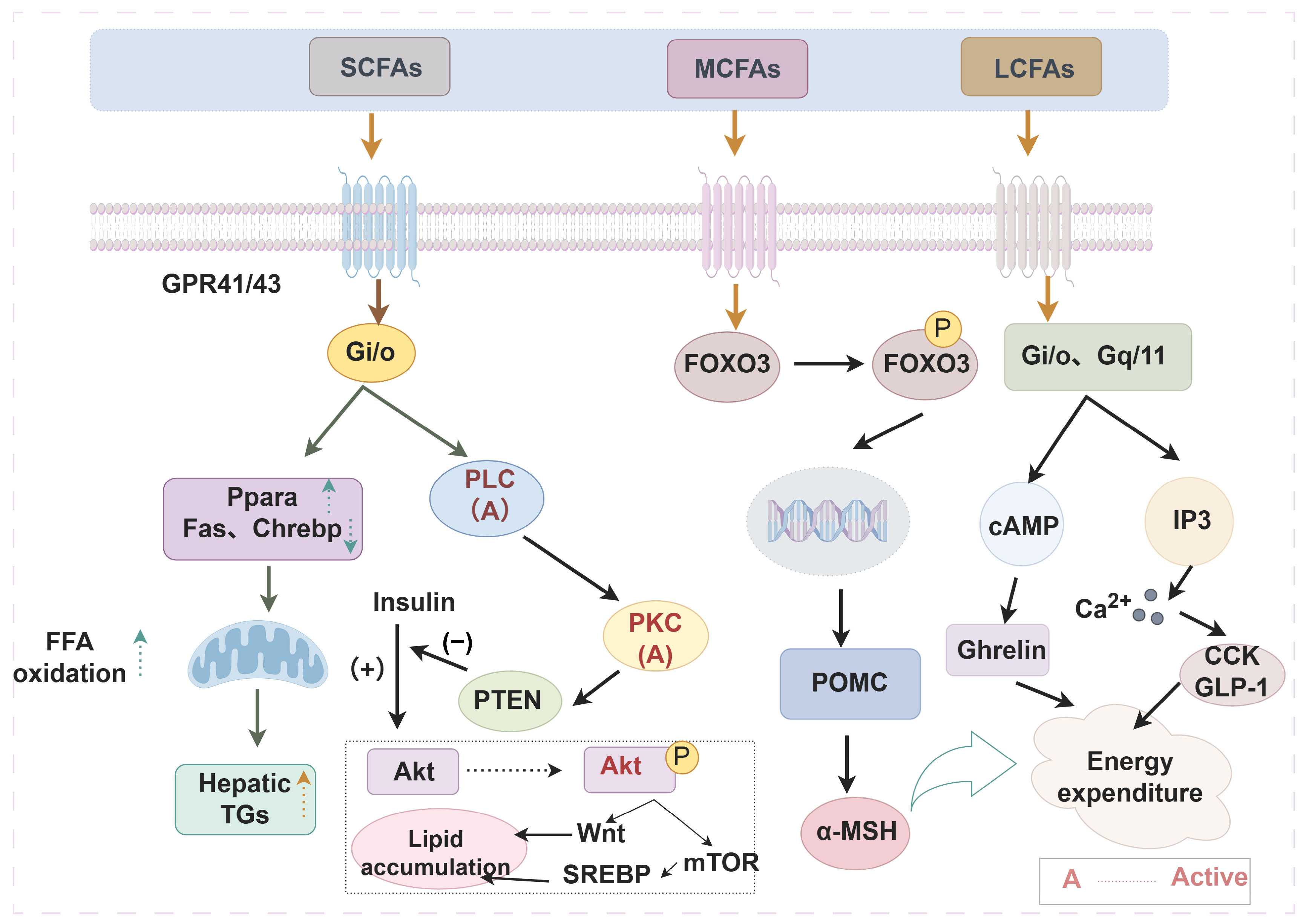 Molecules 31 00841 g002