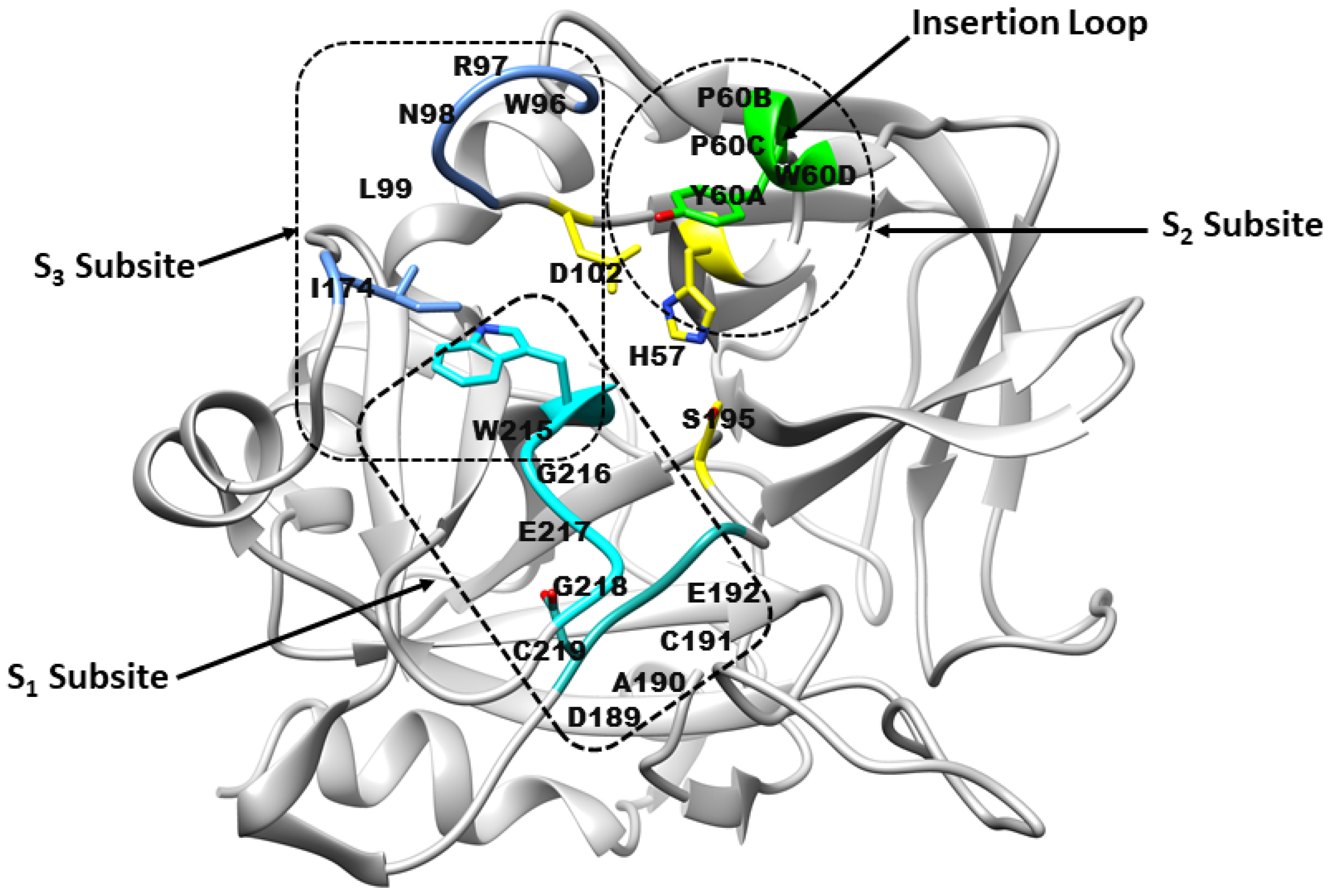 Molecules 31 00848 g001 Molecules 31 00848 g001