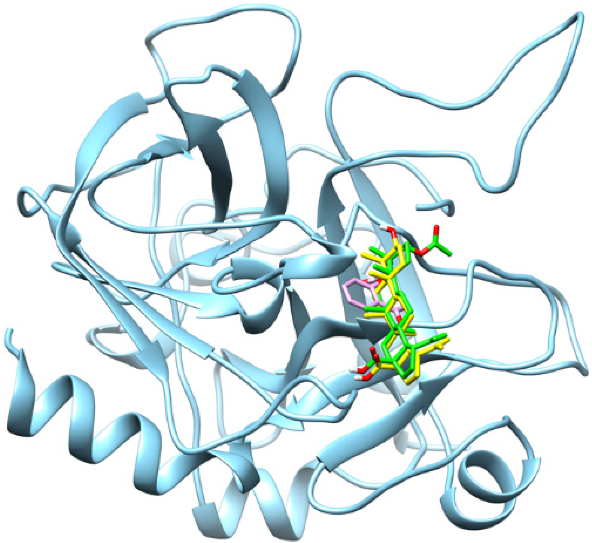 Molecules 31 00848 g003 Molecules 31 00848 g003