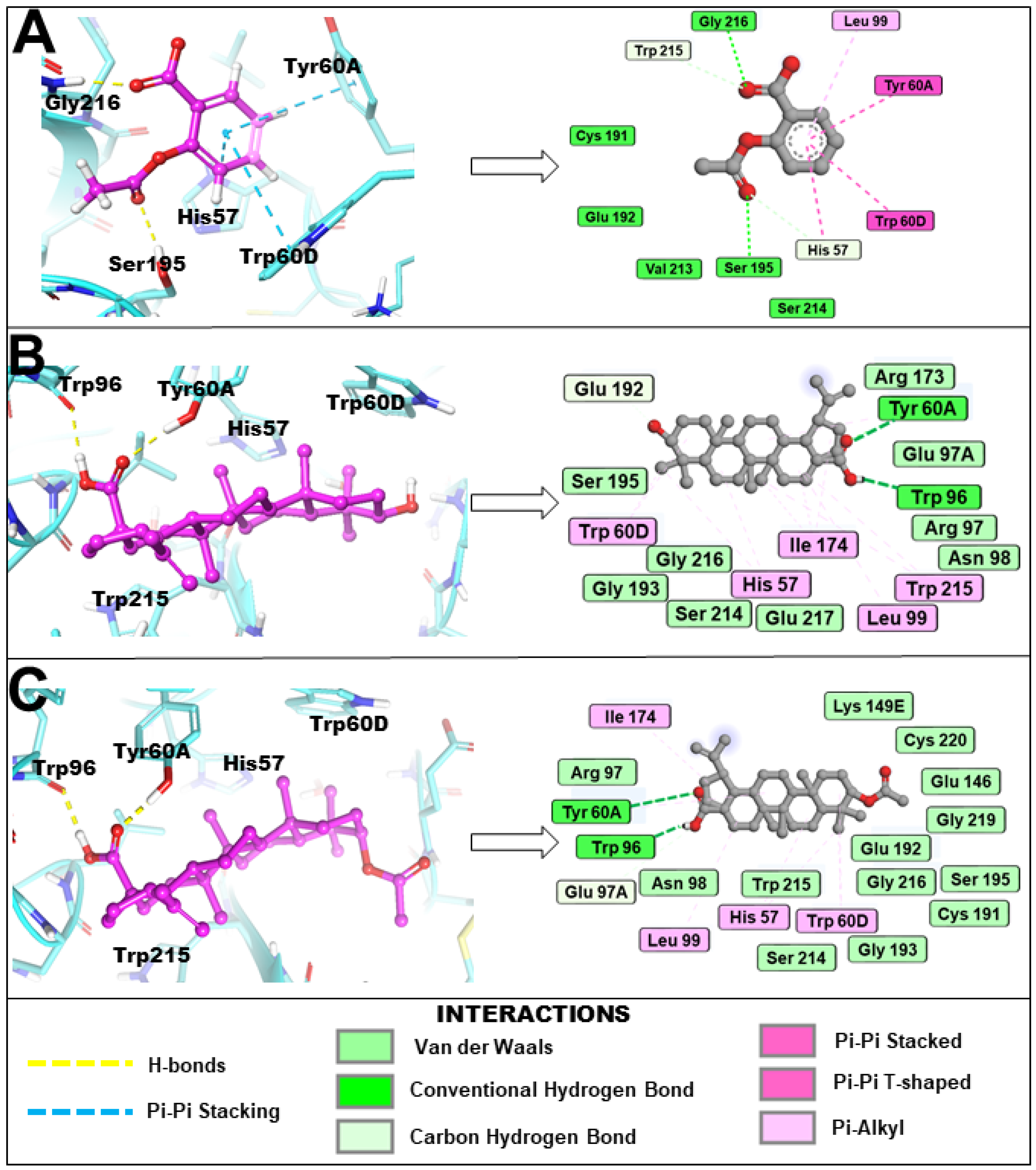 Molecules 31 00848 g004 Molecules 31 00848 g004