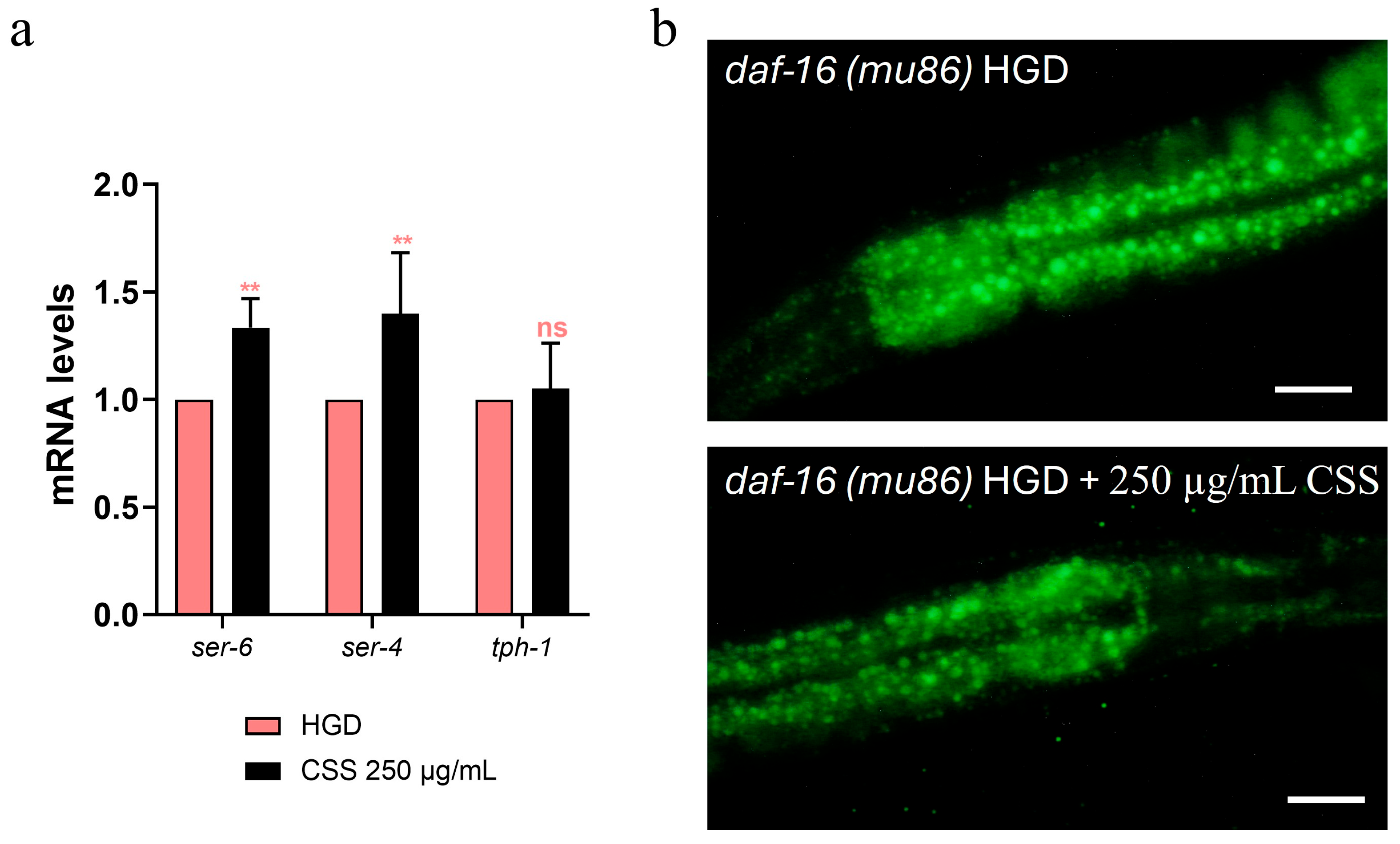 Molecules 31 00887 g011