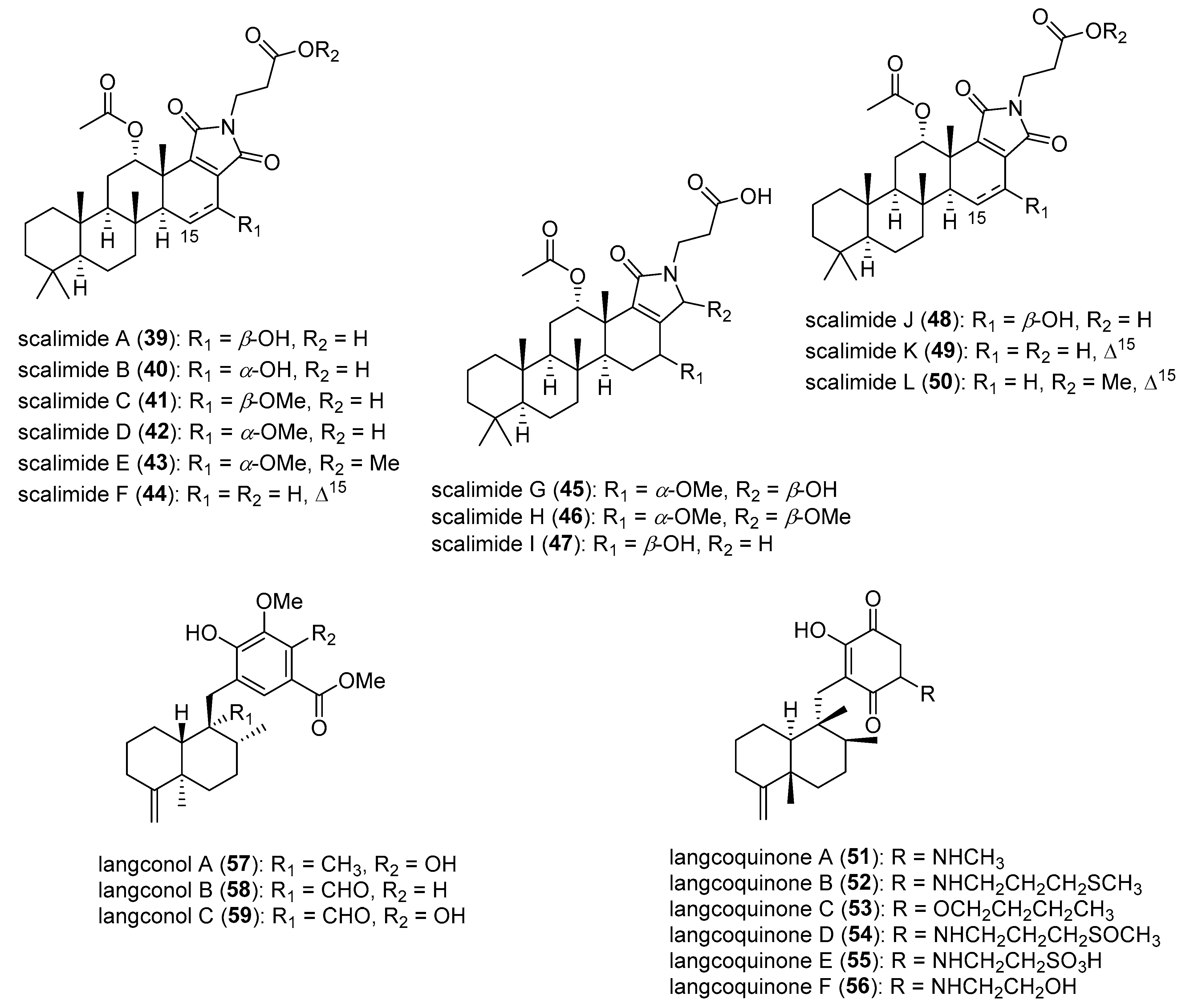 Molecules 31 00914 g010 Molecules 31 00914 g010