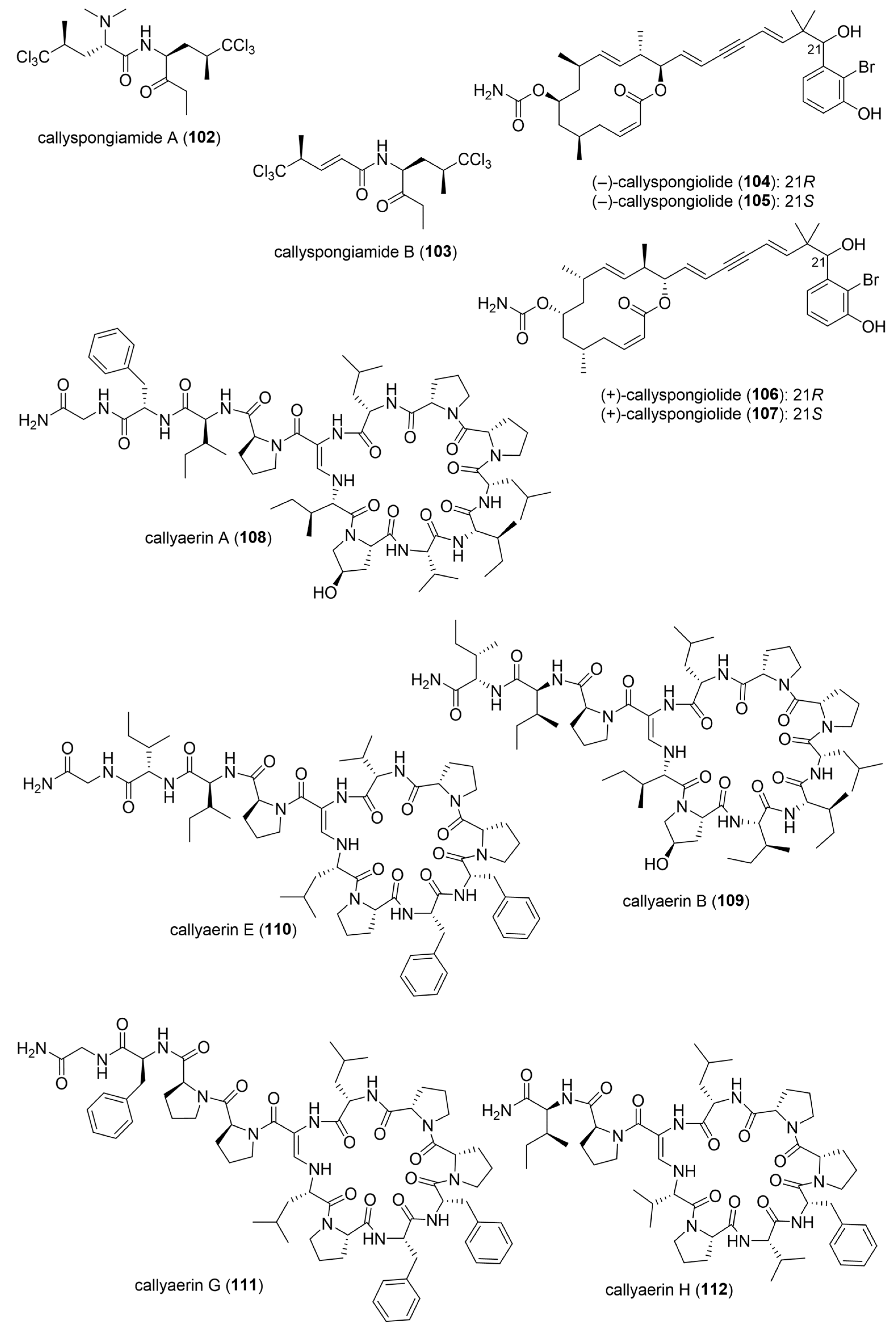 Molecules 31 00914 g014 Molecules 31 00914 g014