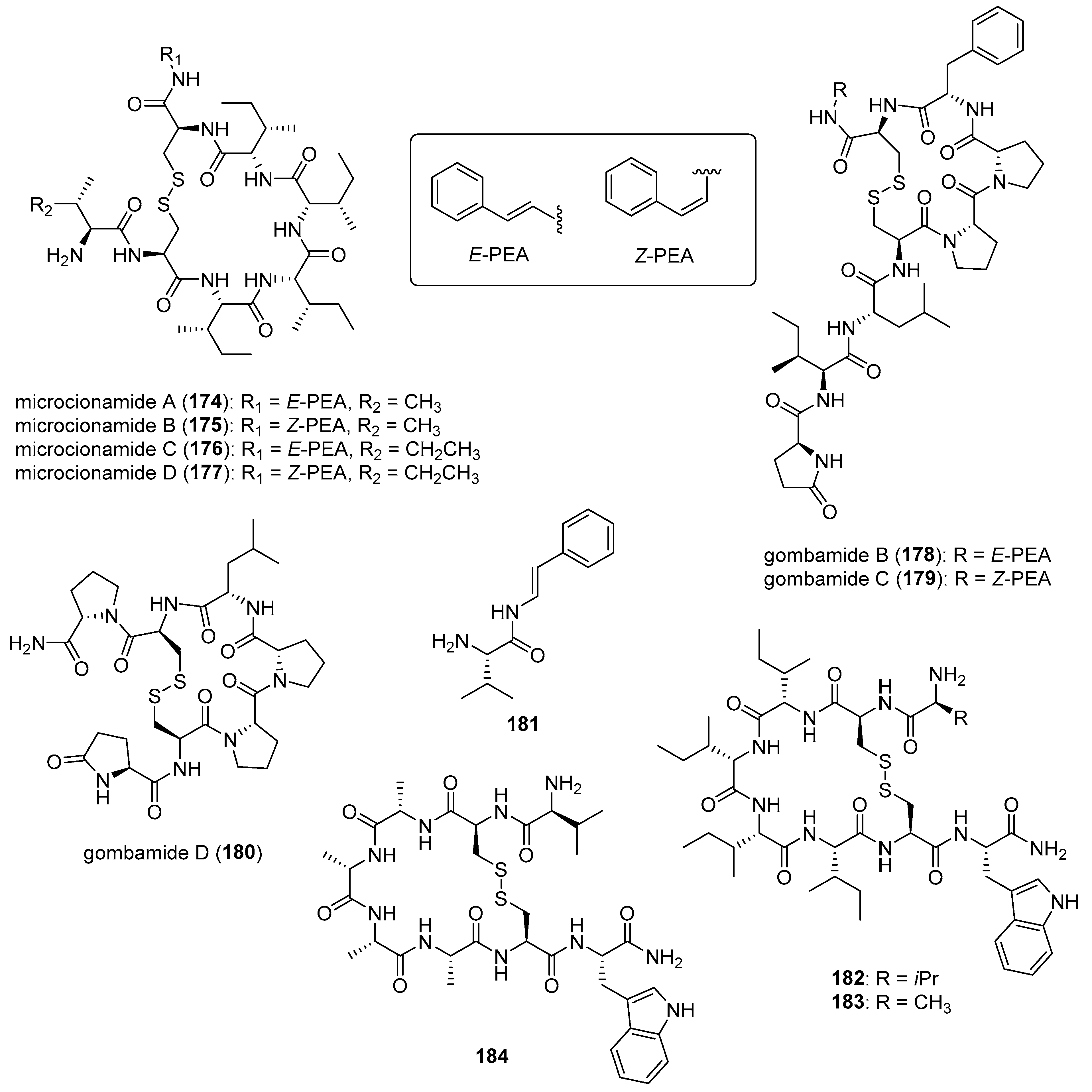 Molecules 31 00914 g019 Molecules 31 00914 g019