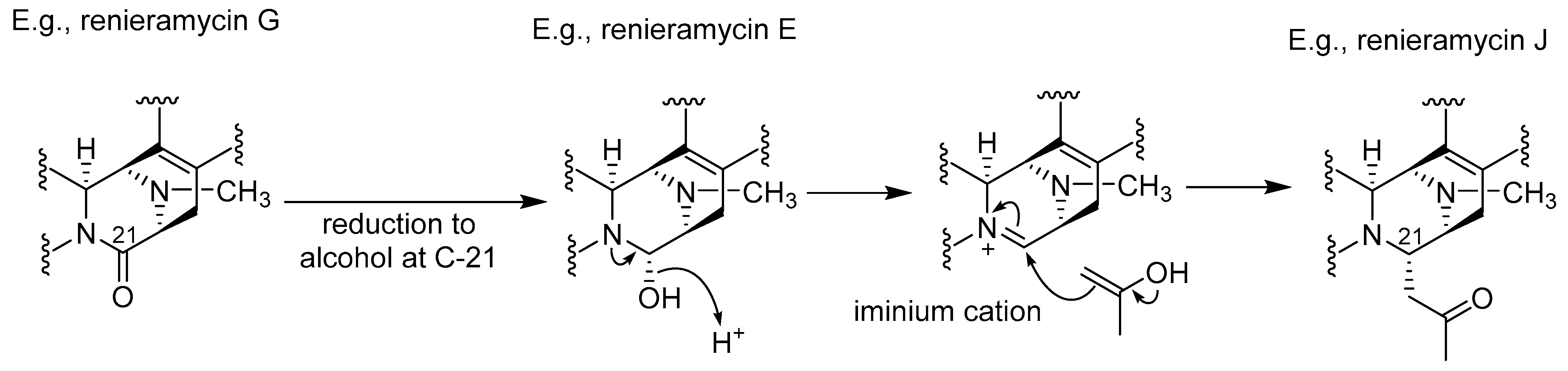 Molecules 31 00914 sch001 Molecules 31 00914 sch001