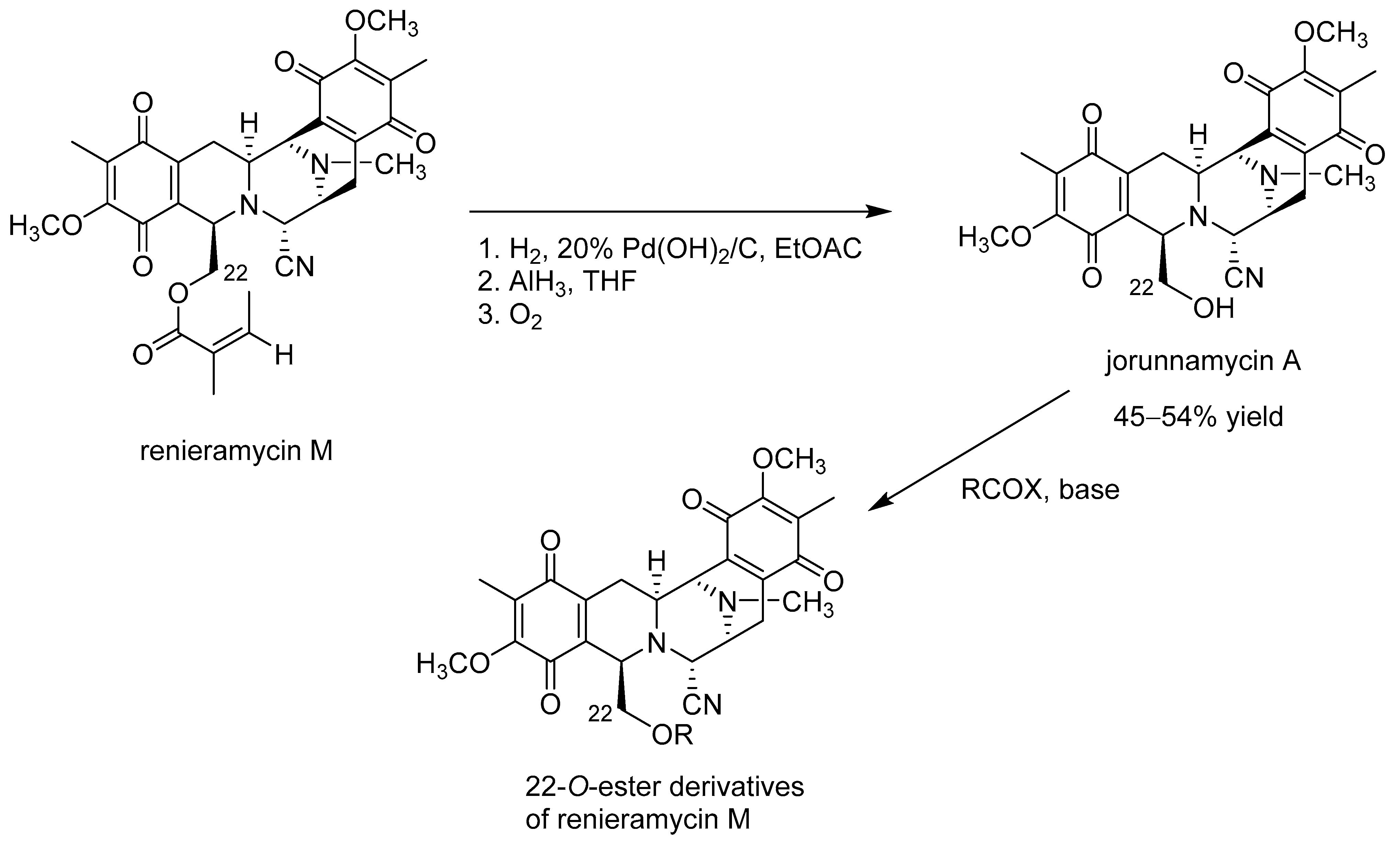 Molecules 31 00914 sch002 Molecules 31 00914 sch002