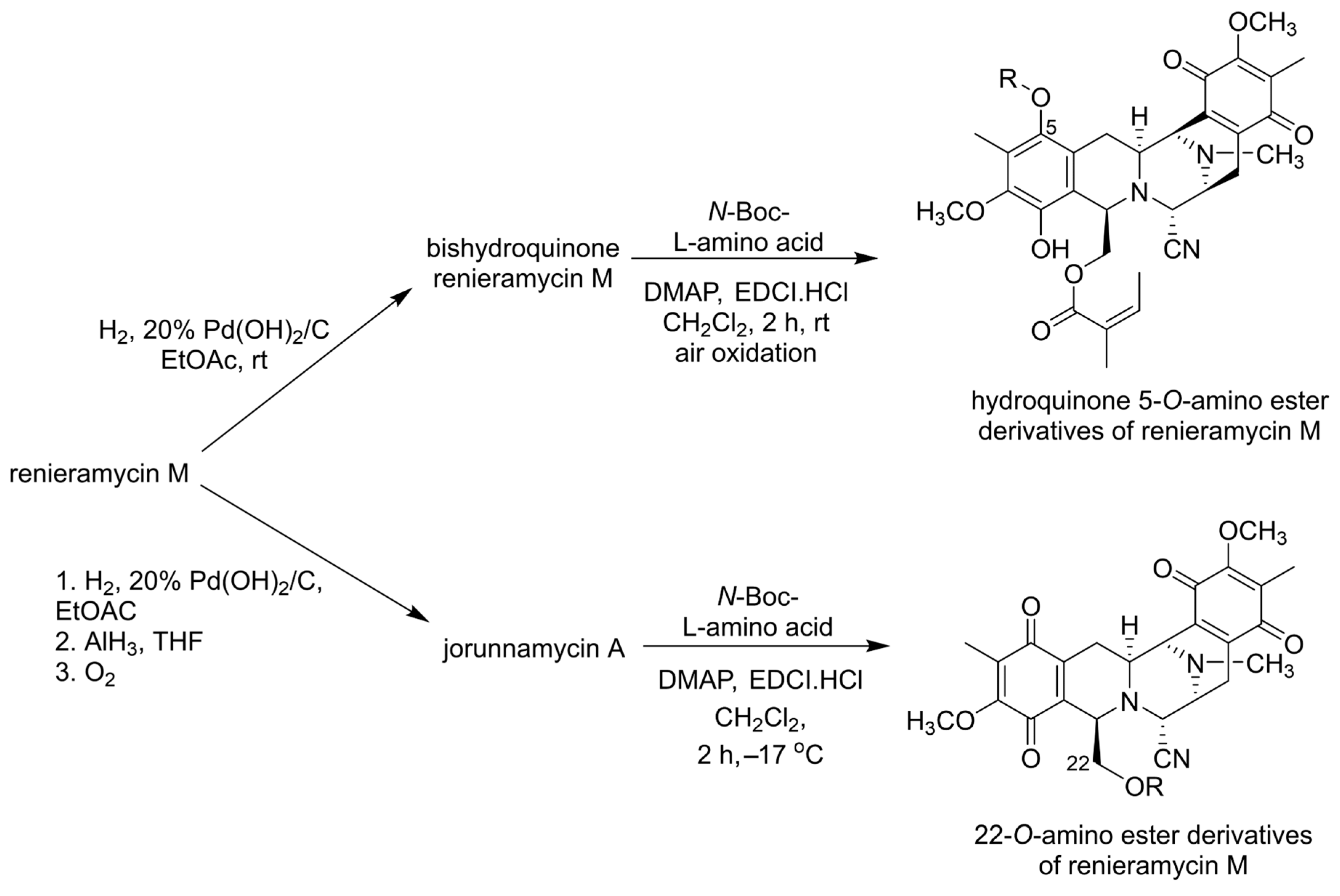 Molecules 31 00914 sch003 Molecules 31 00914 sch003