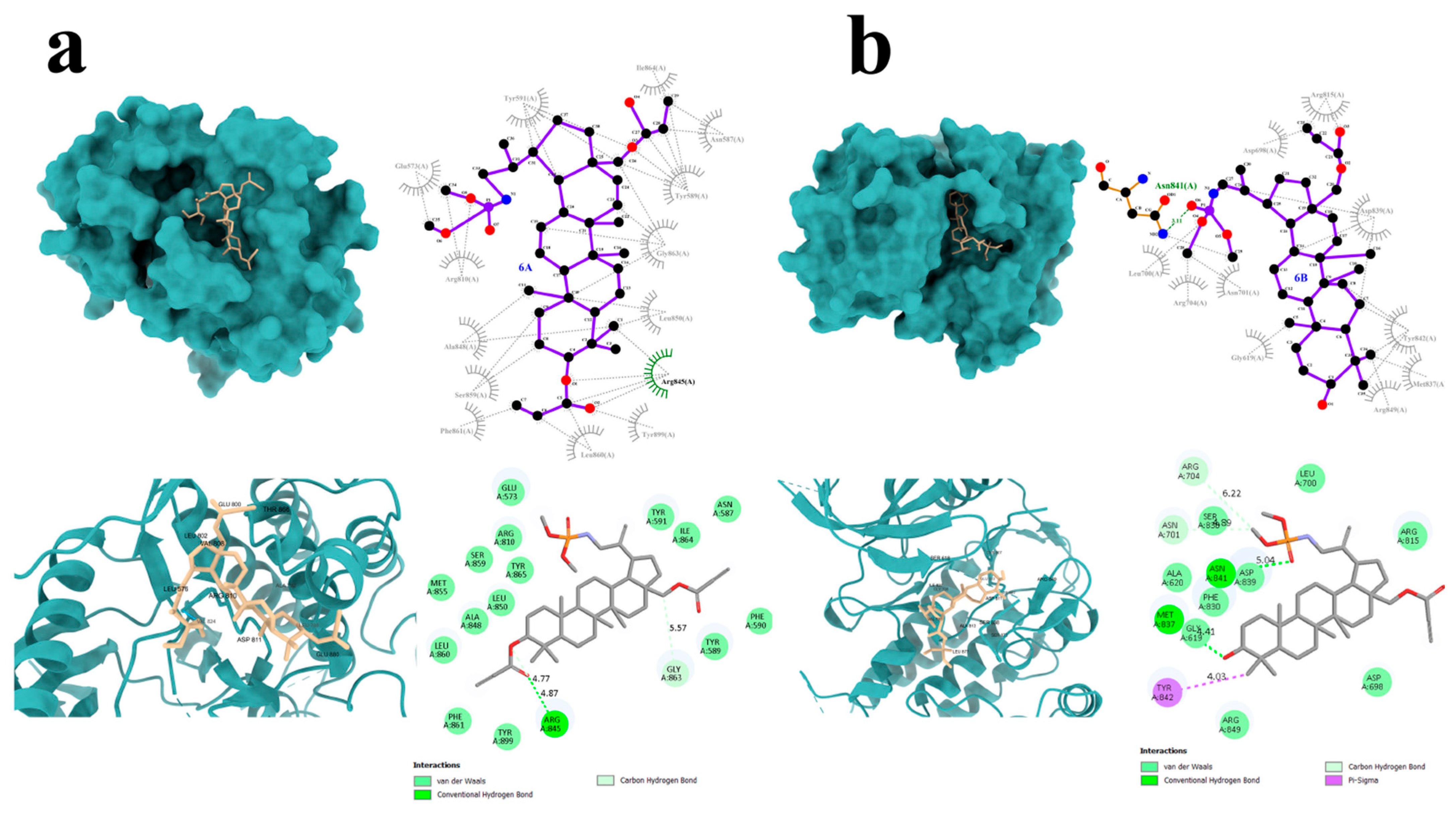 Molecules 31 00935 g007 Molecules 31 00935 g007