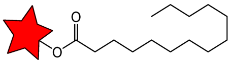 Molecules 31 00942 i007