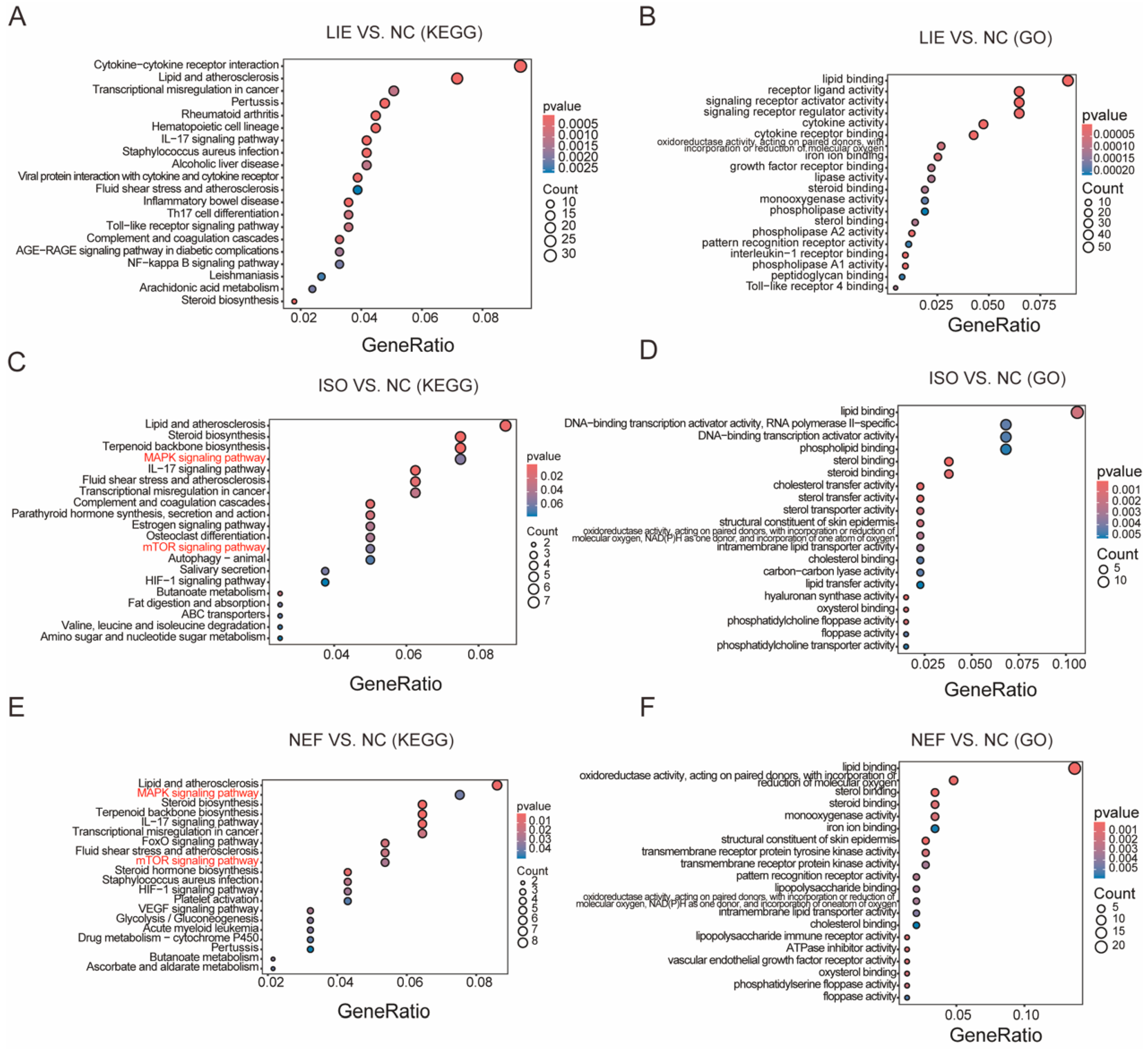 Molecules 31 00947 g006