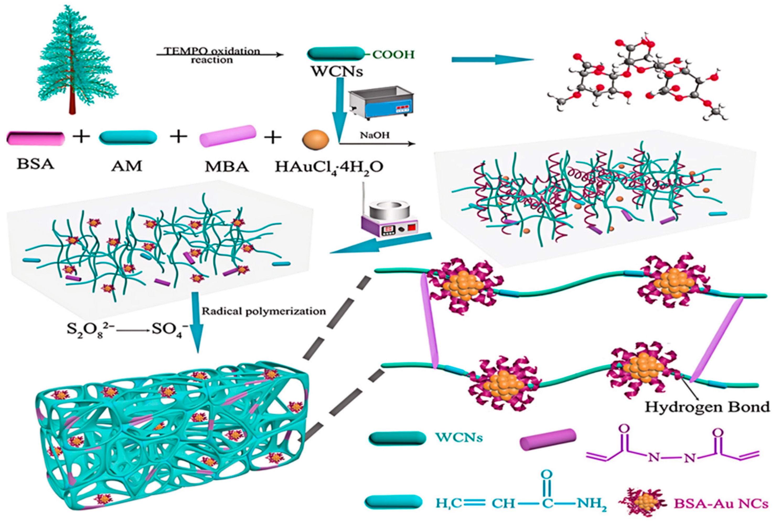 Molecules 31 00957 g009 Molecules 31 00957 g009