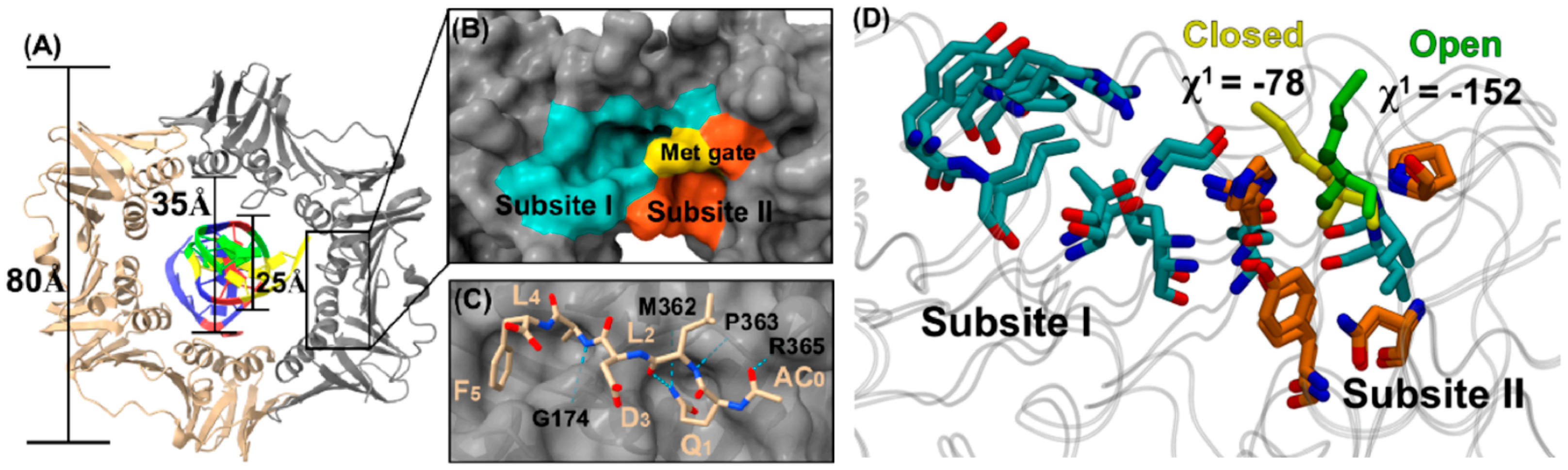 Molecules 31 00977 g002 Molecules 31 00977 g002