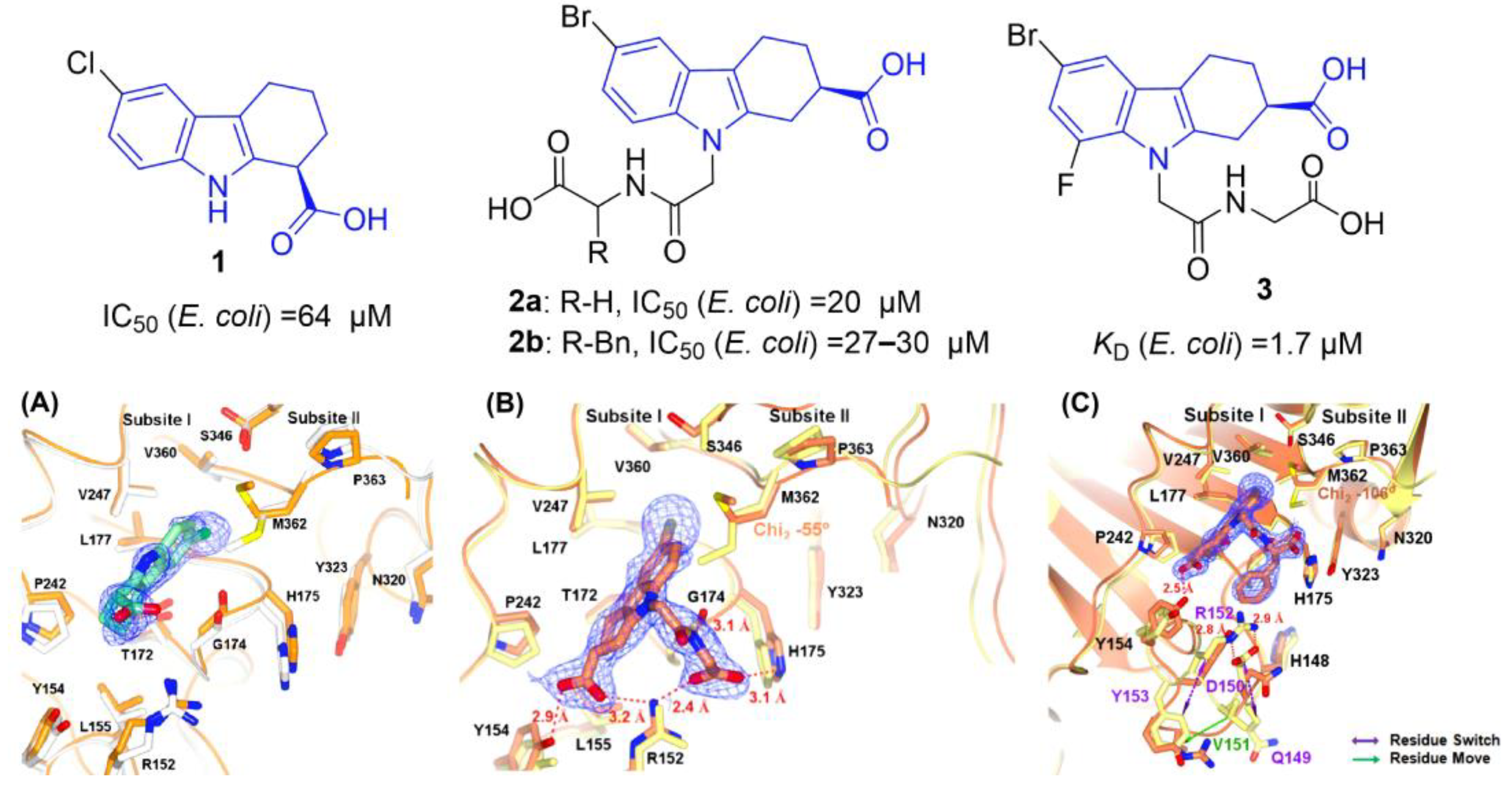 Molecules 31 00977 g003 Molecules 31 00977 g003