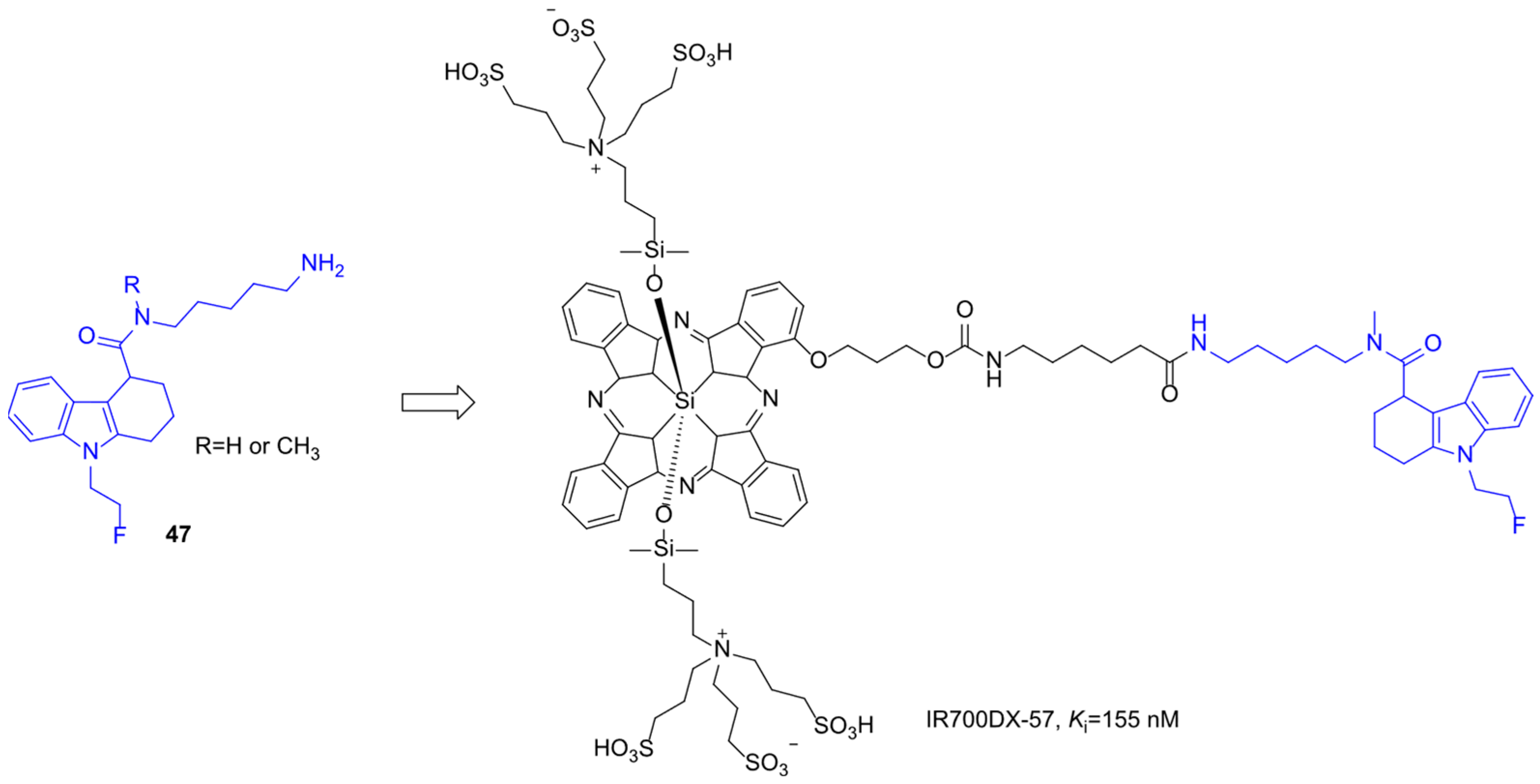 Molecules 31 00977 g024 Molecules 31 00977 g024