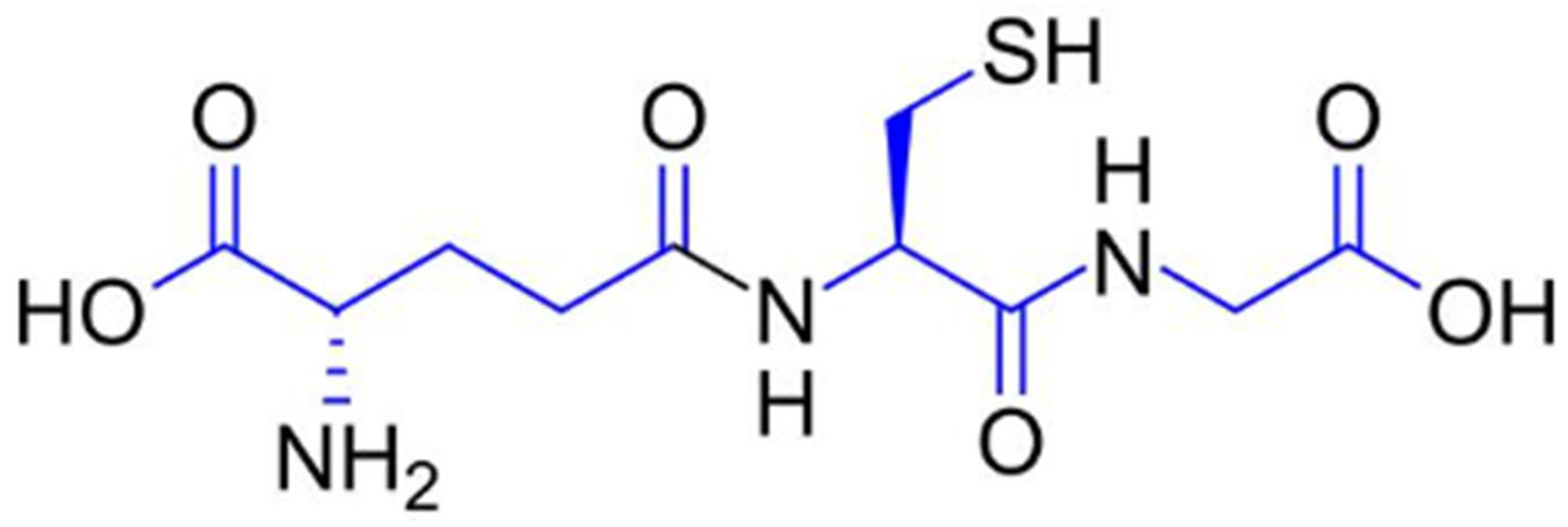 Molecules 31 00981 g001 Molecules 31 00981 g001