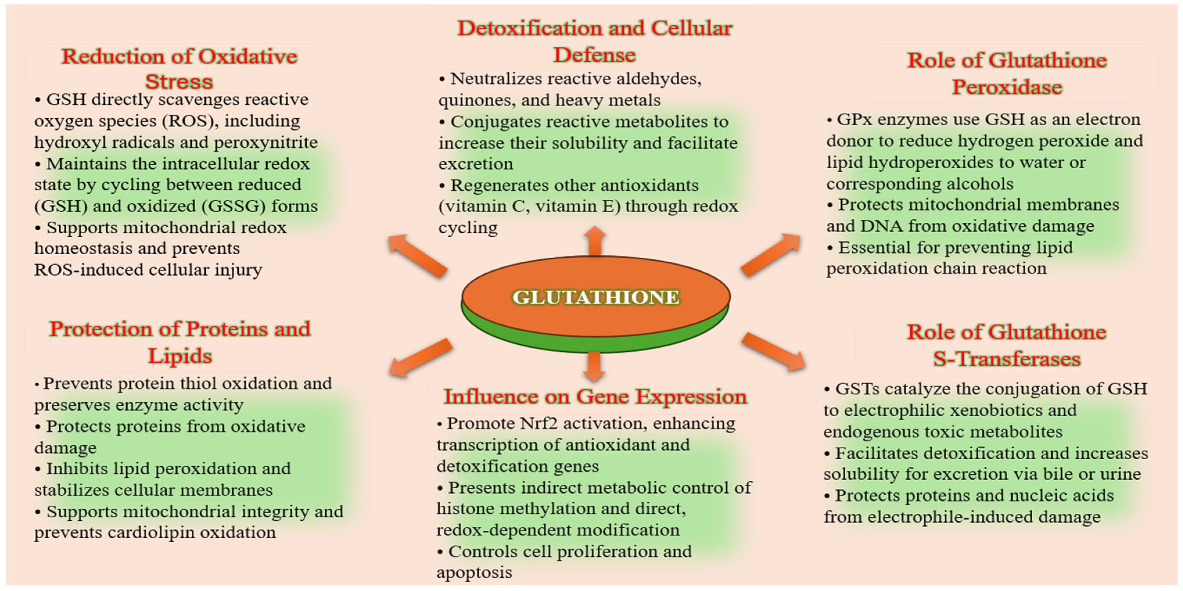 Molecules 31 00981 g003 Molecules 31 00981 g003