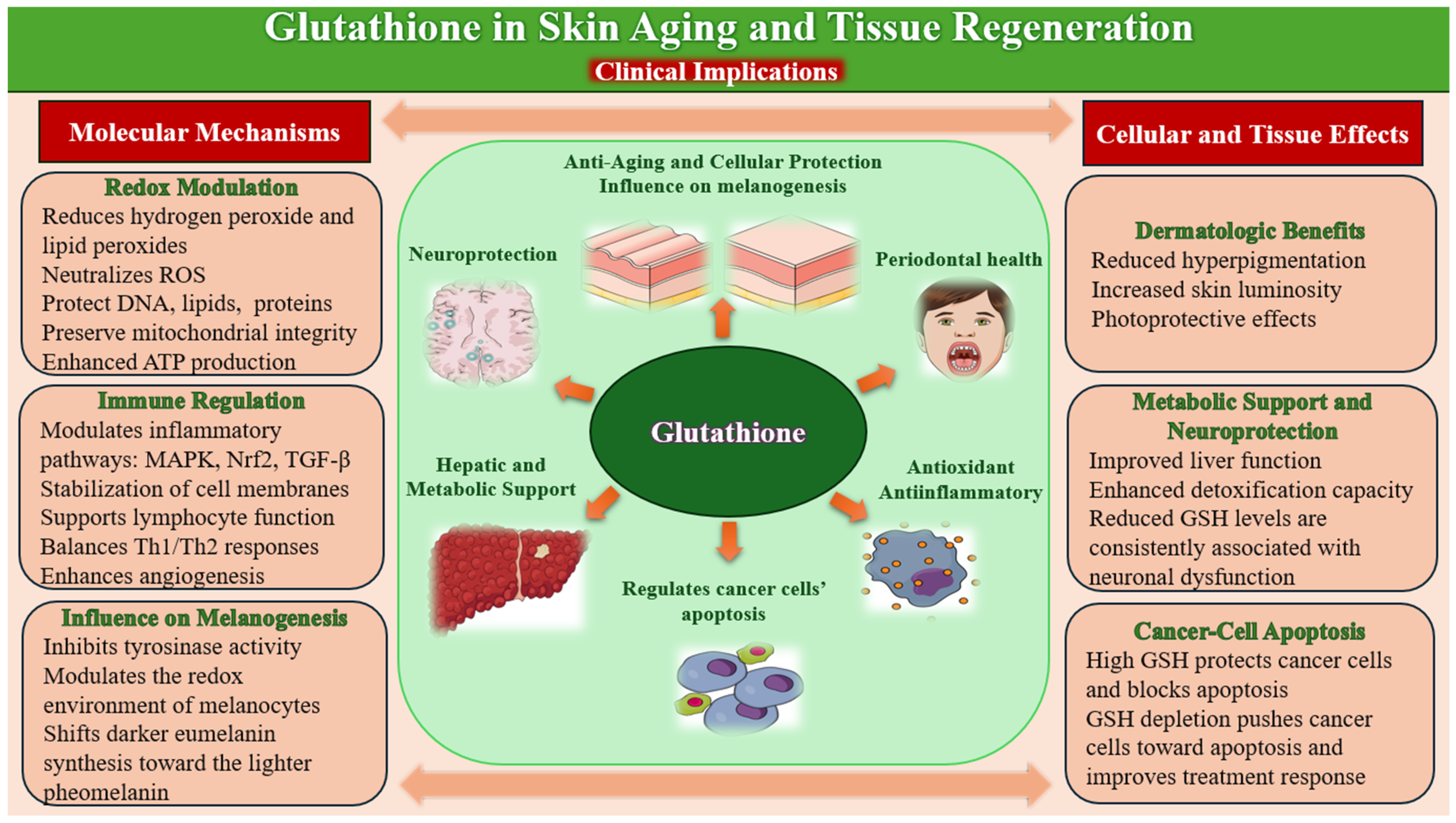 Molecules 31 00981 g004 Molecules 31 00981 g004