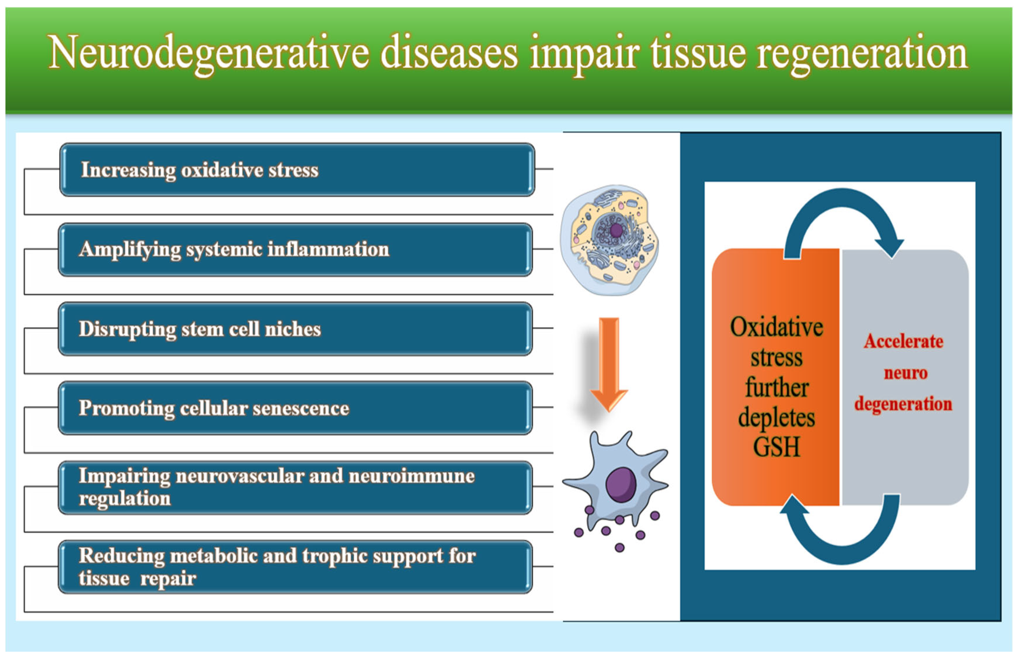 Molecules 31 00981 g006 Molecules 31 00981 g006