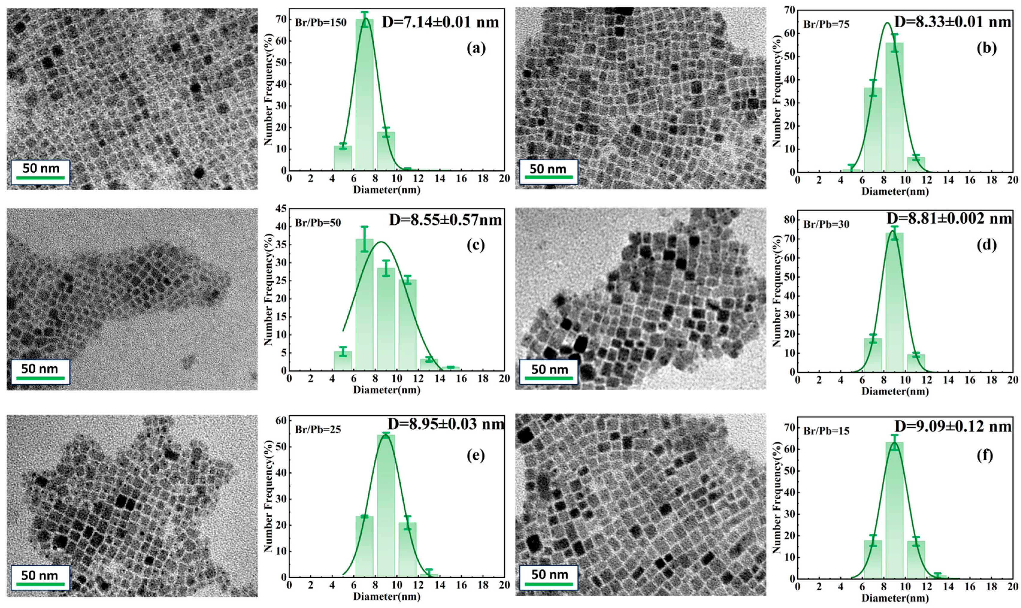 Molecules 31 01006 g001