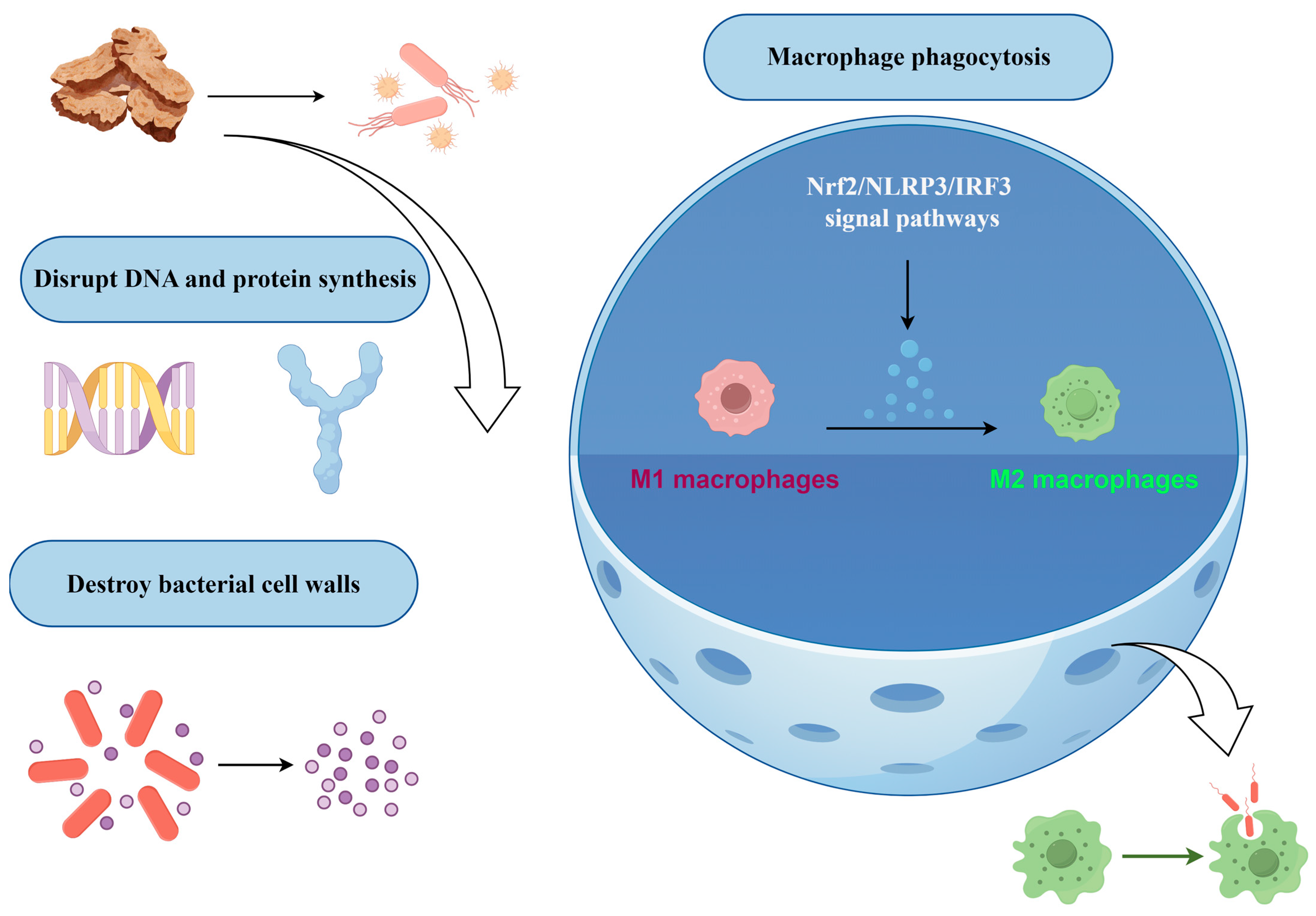 Molecules 31 01015 g004