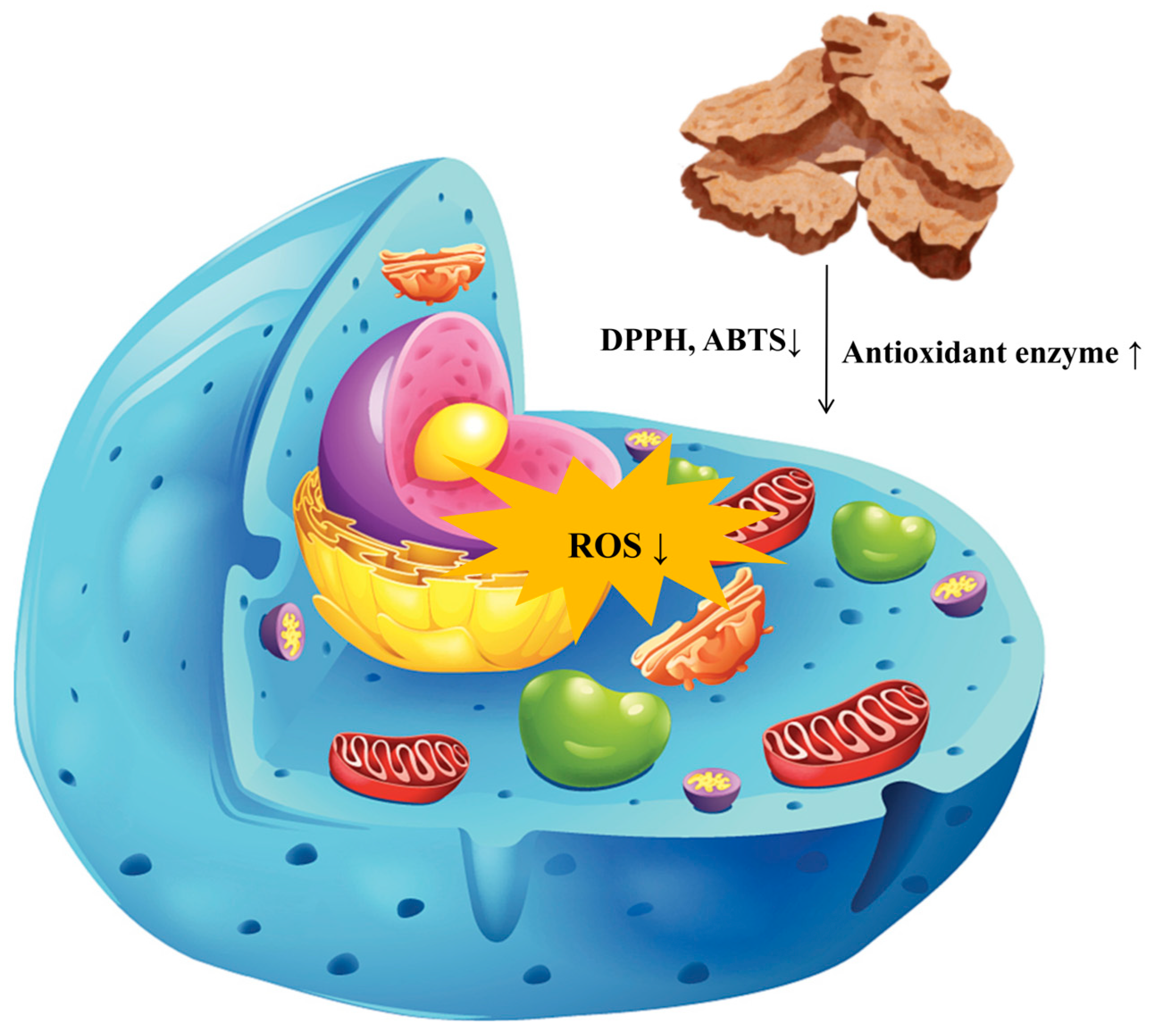 Molecules 31 01015 g006