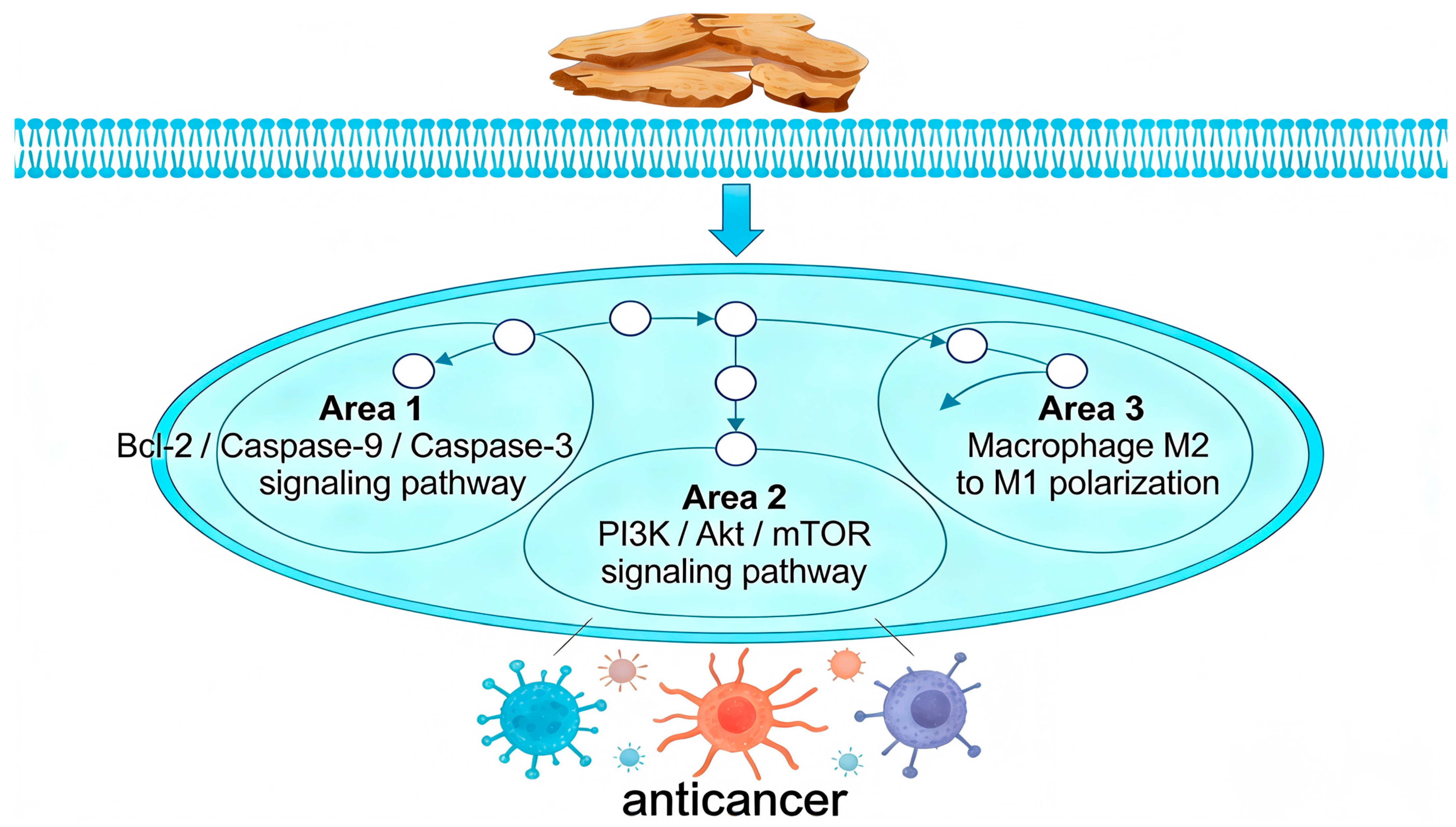 Molecules 31 01015 g008