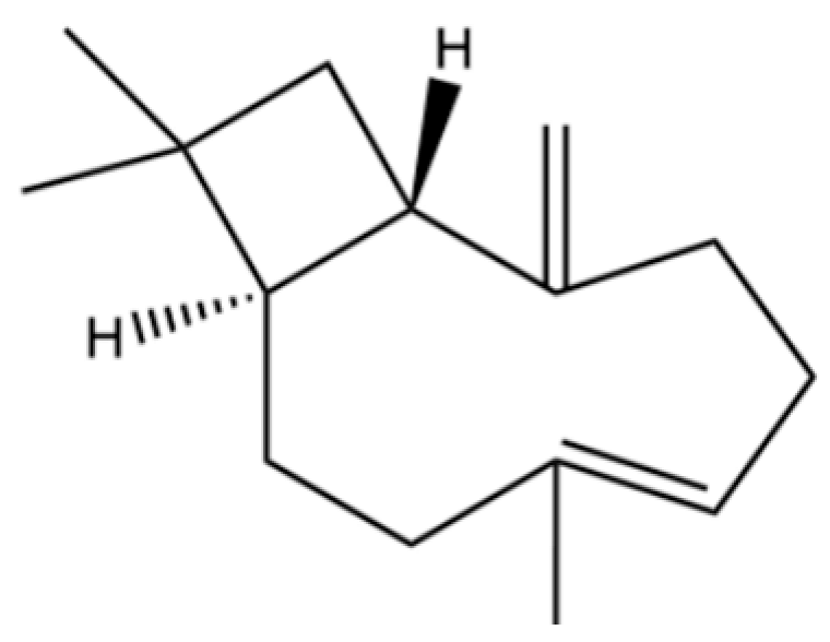 Molecules 31 01015 i025