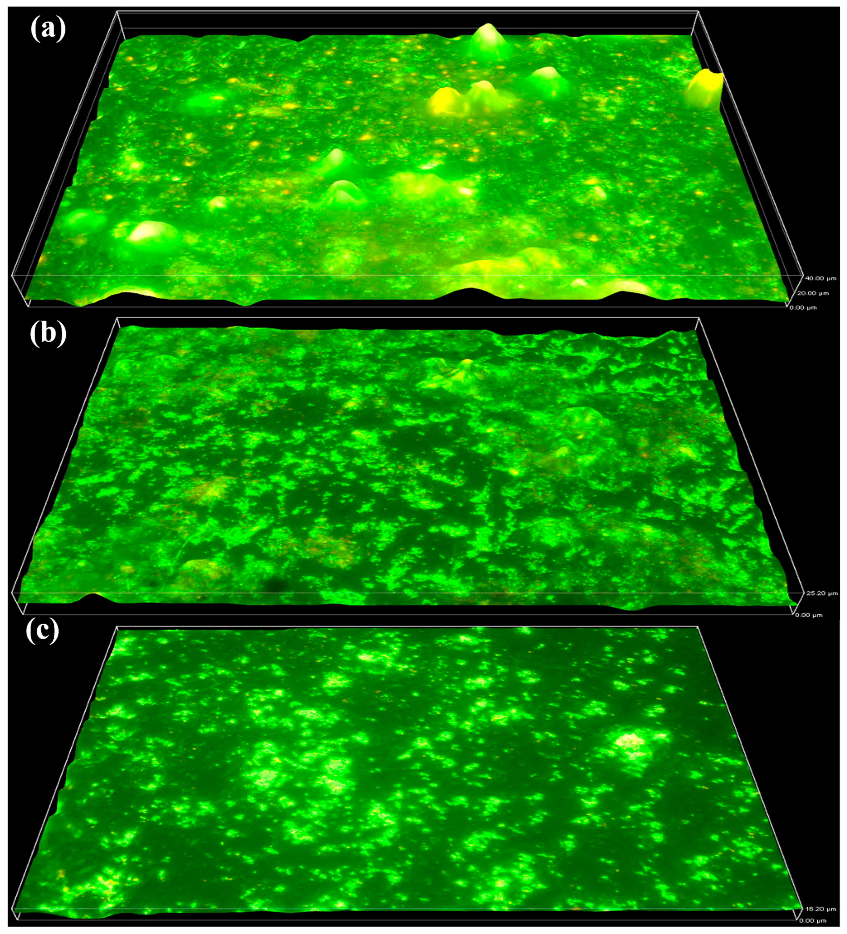 Molecules 31 01022 g001 Molecules 31 01022 g001