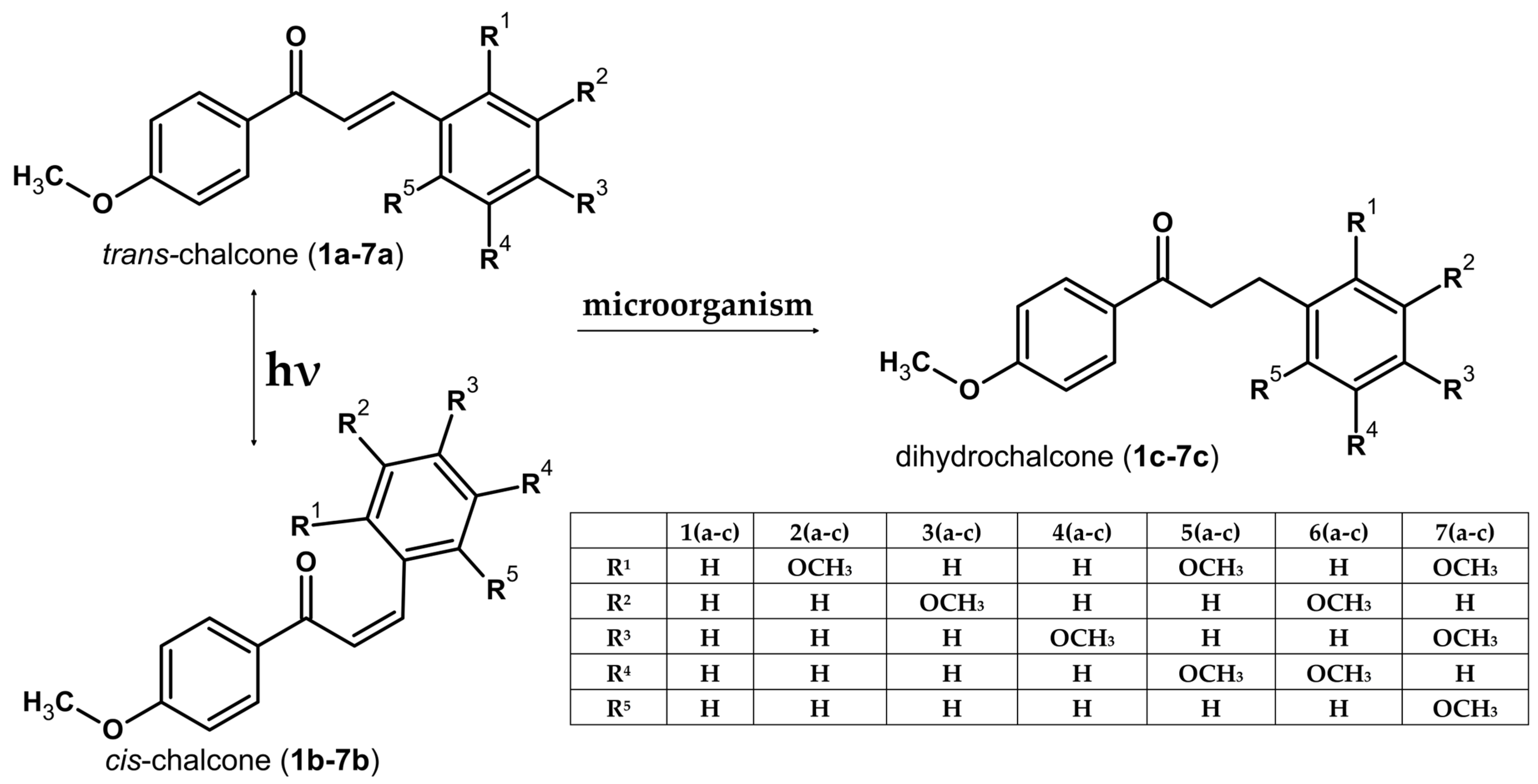 Molecules 31 01049 g001