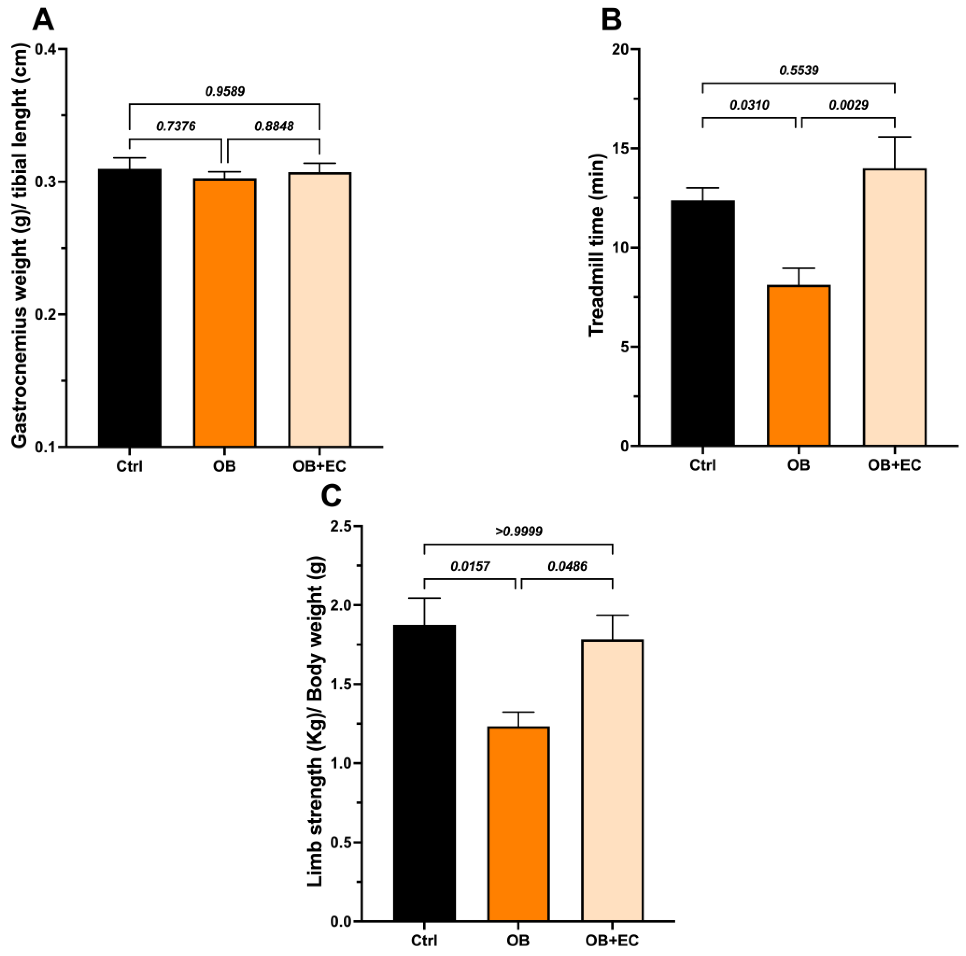 Molecules 31 01050 g002