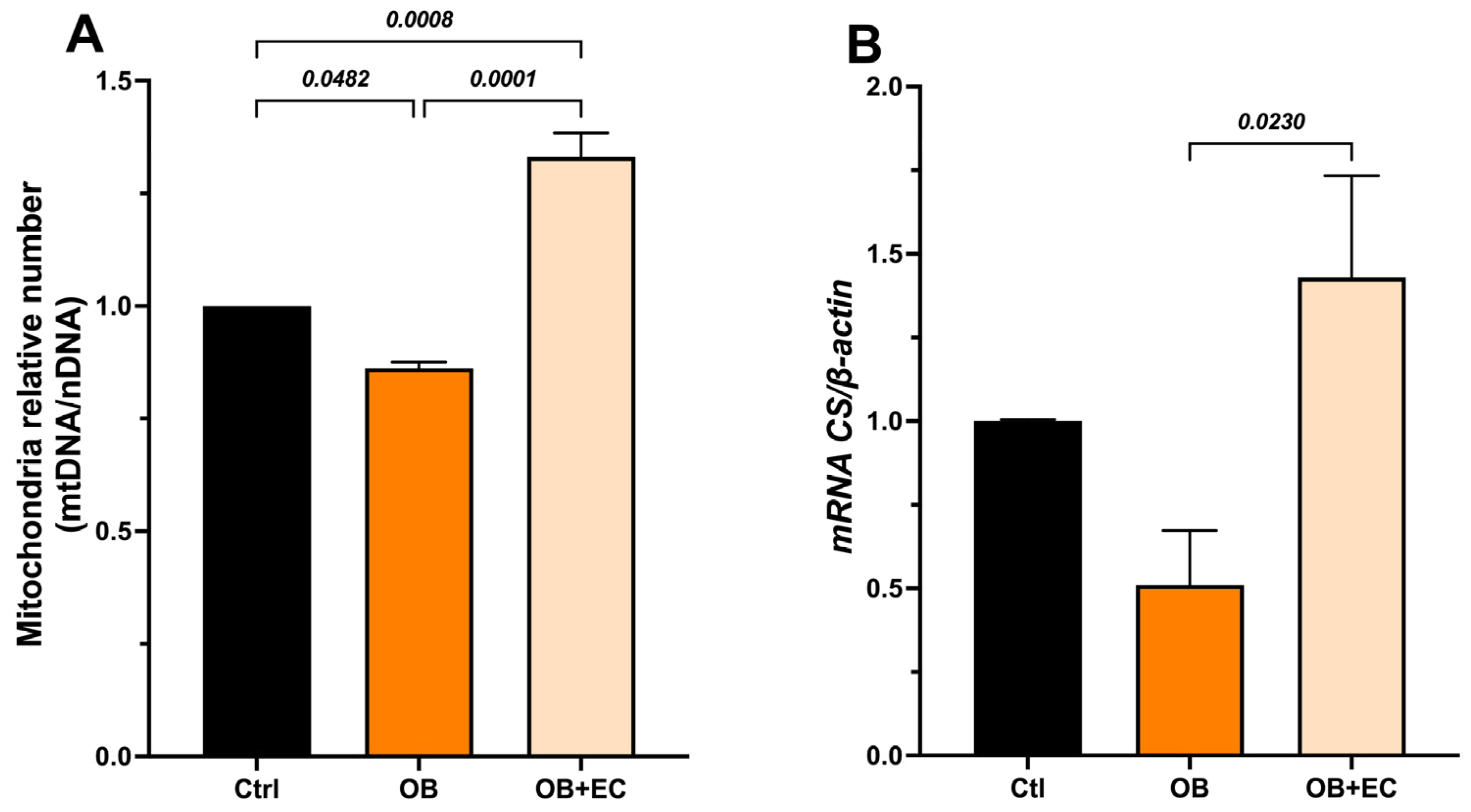 Molecules 31 01050 g003