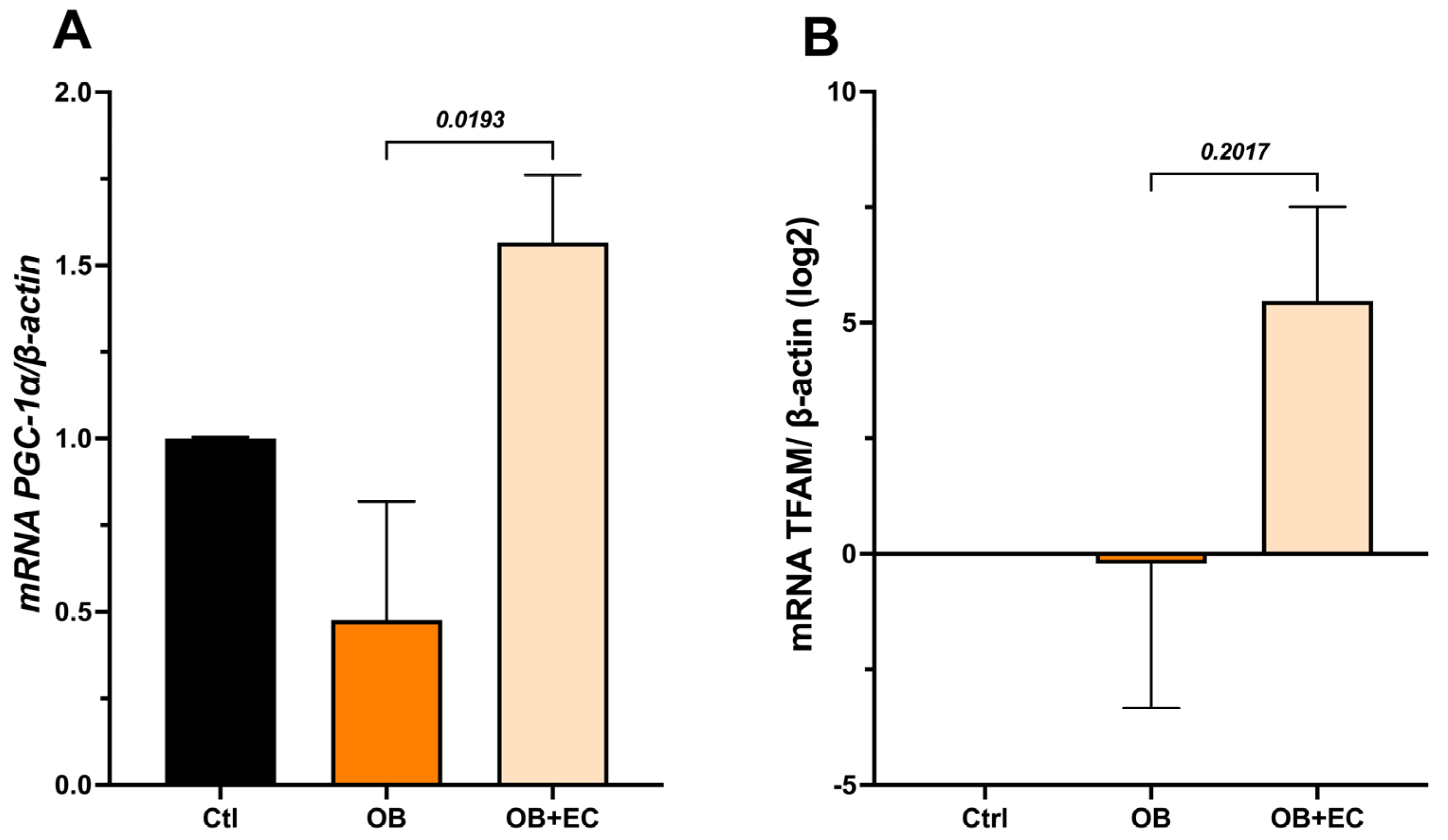 Molecules 31 01050 g004