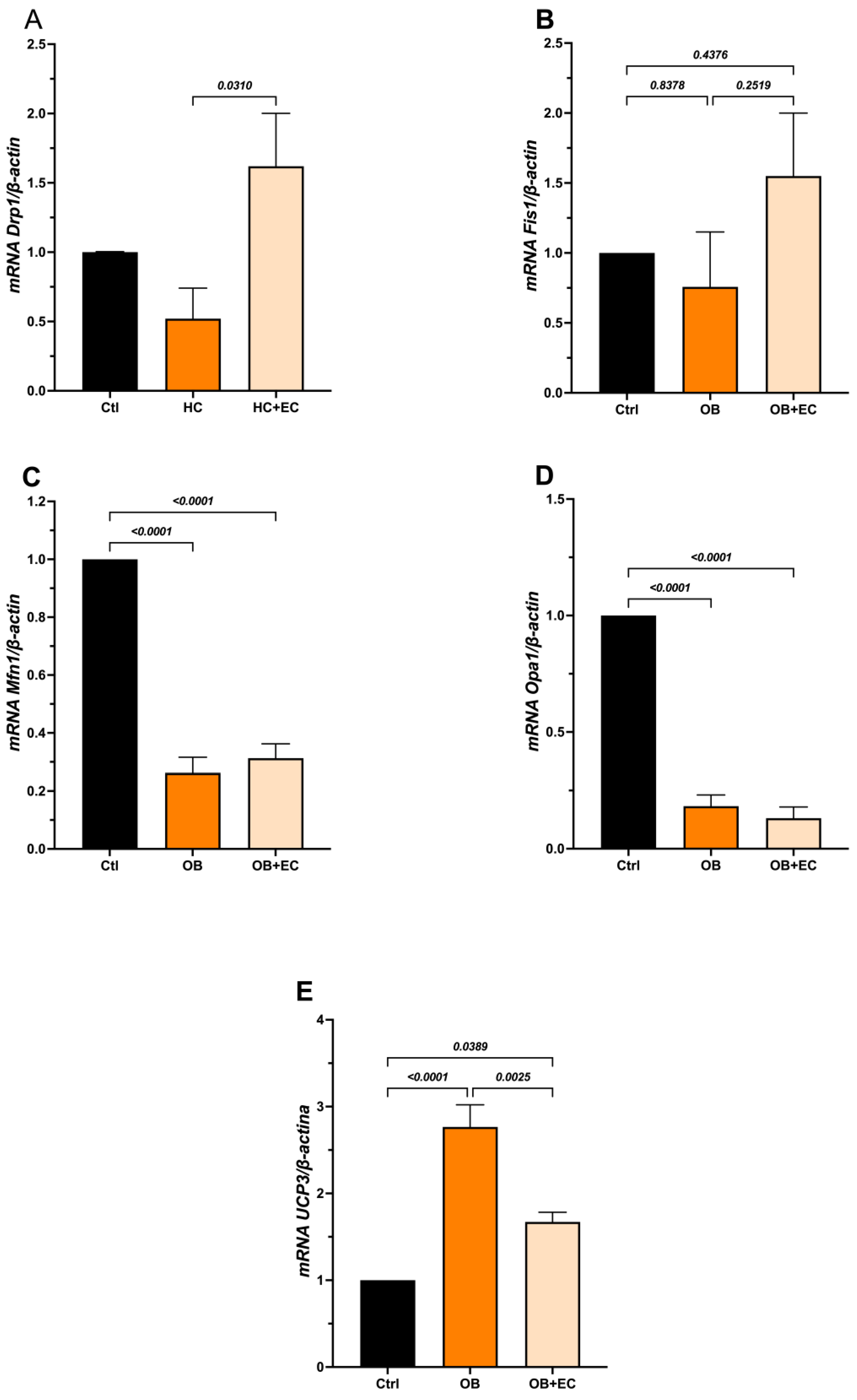 Molecules 31 01050 g005
