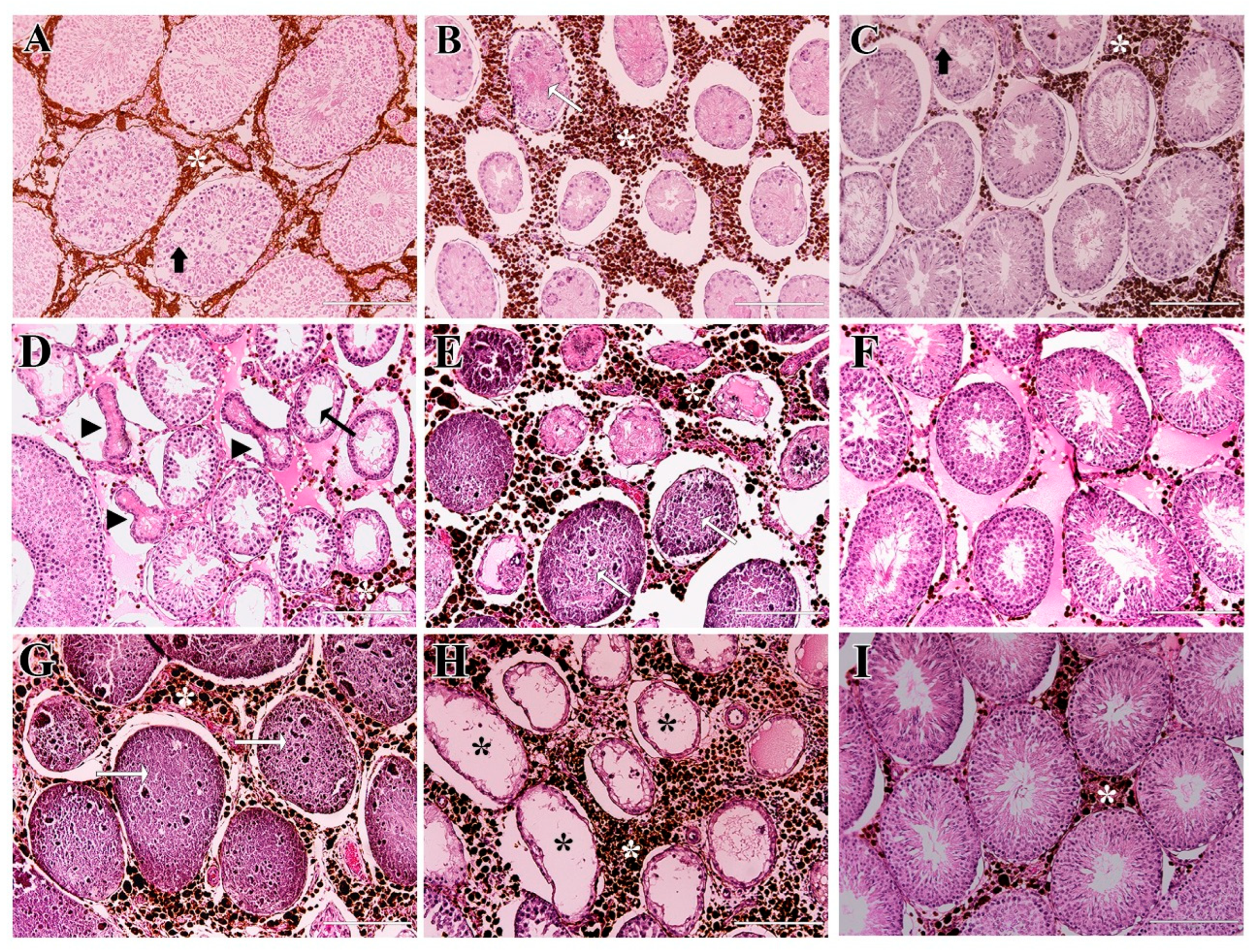 Molecules 31 01064 g006 Molecules 31 01064 g006