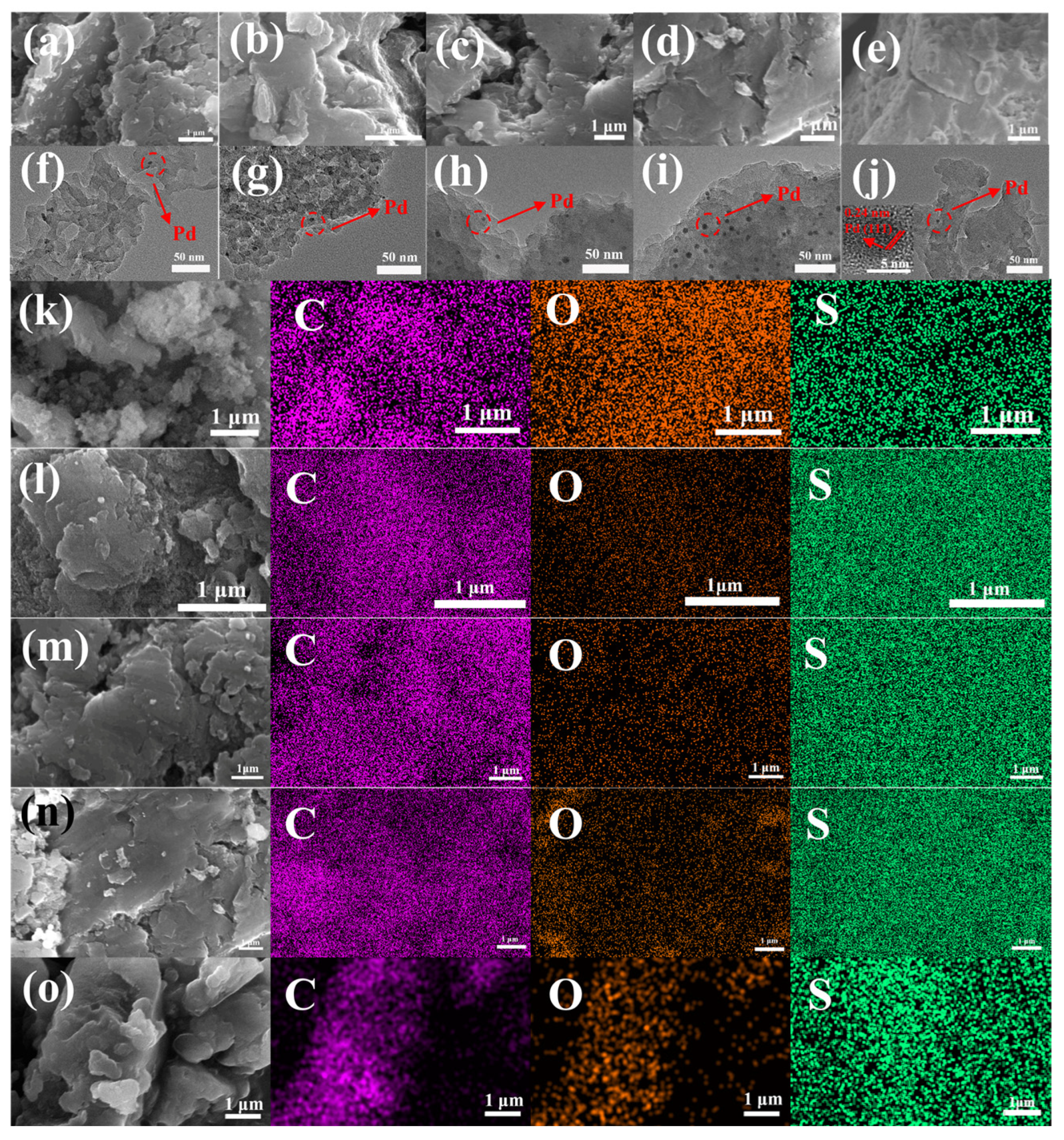 Molecules 31 01065 g002 Molecules 31 01065 g002