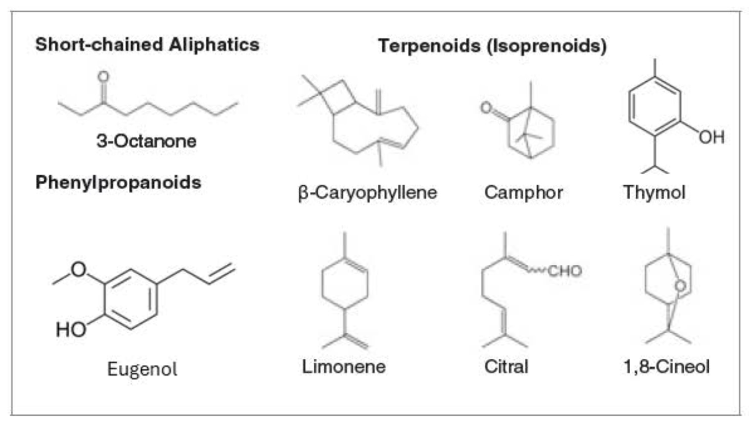Molecules 31 01077 g001 Molecules 31 01077 g001