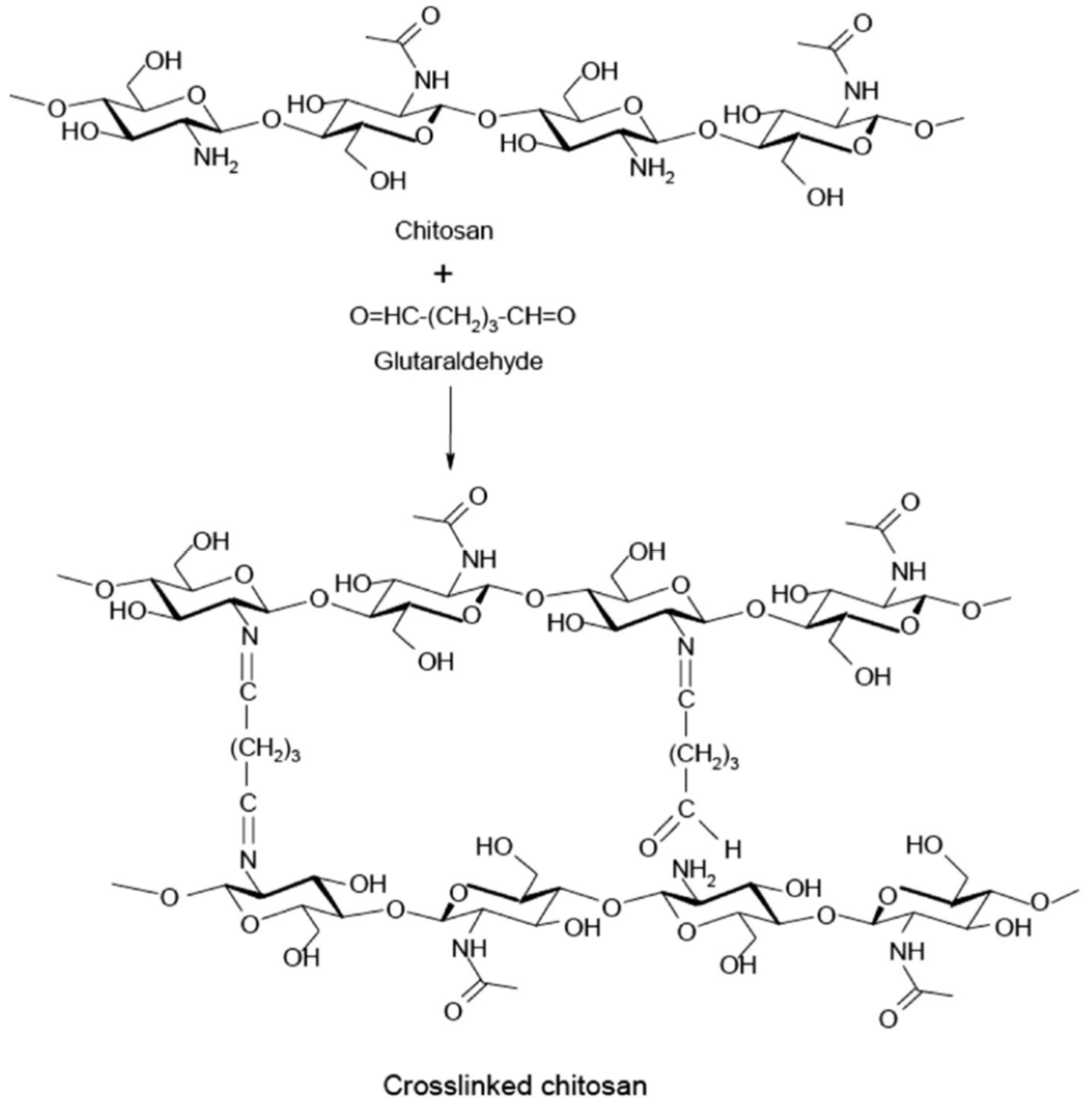 Molecules 31 01077 g002 Molecules 31 01077 g002