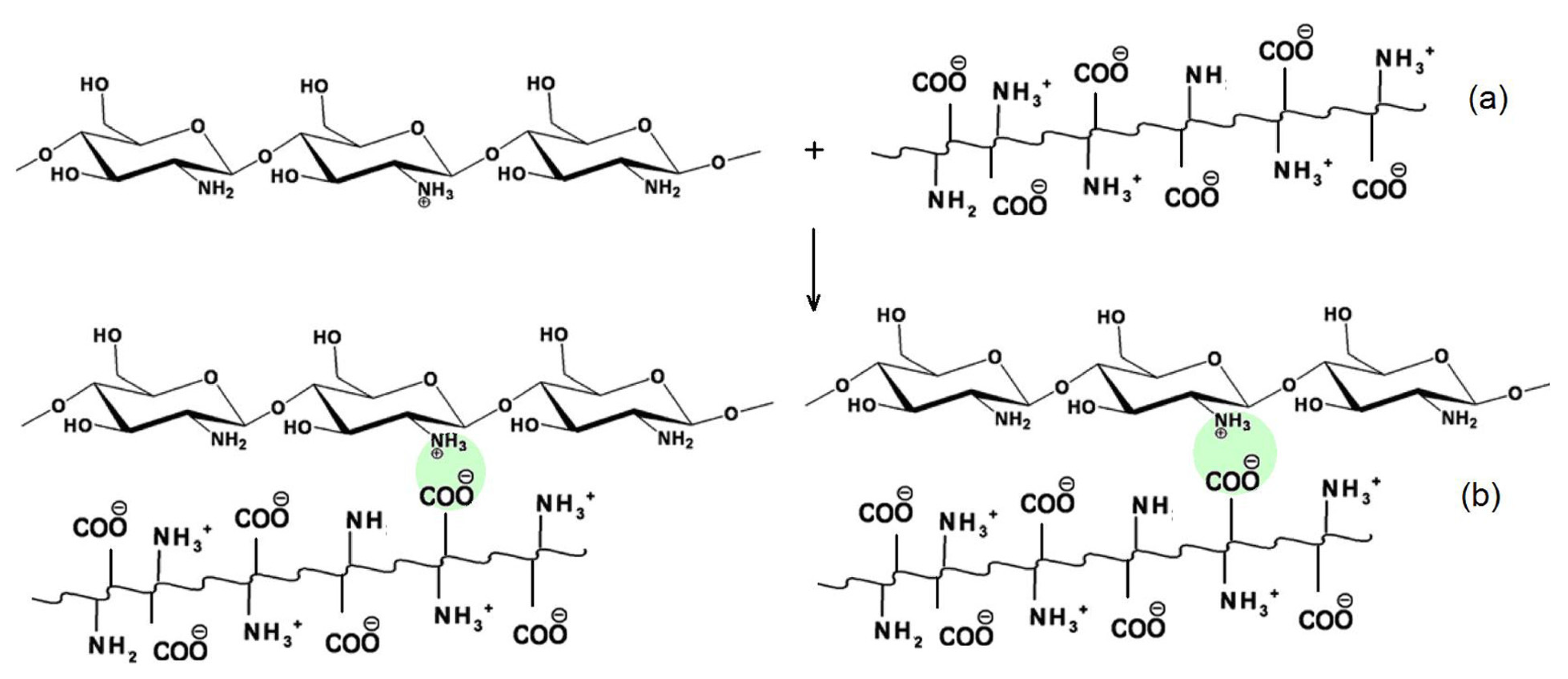Molecules 31 01077 g004 Molecules 31 01077 g004