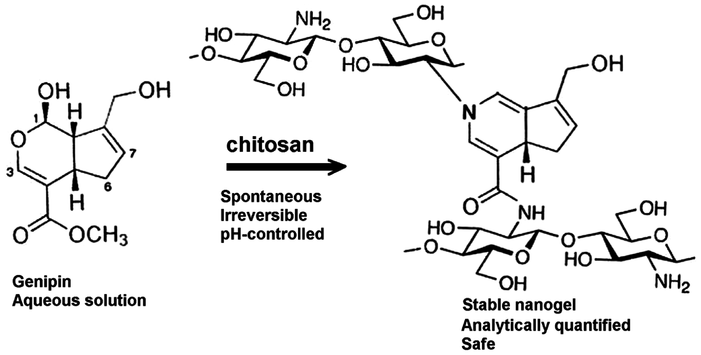 Molecules 31 01077 g005 Molecules 31 01077 g005