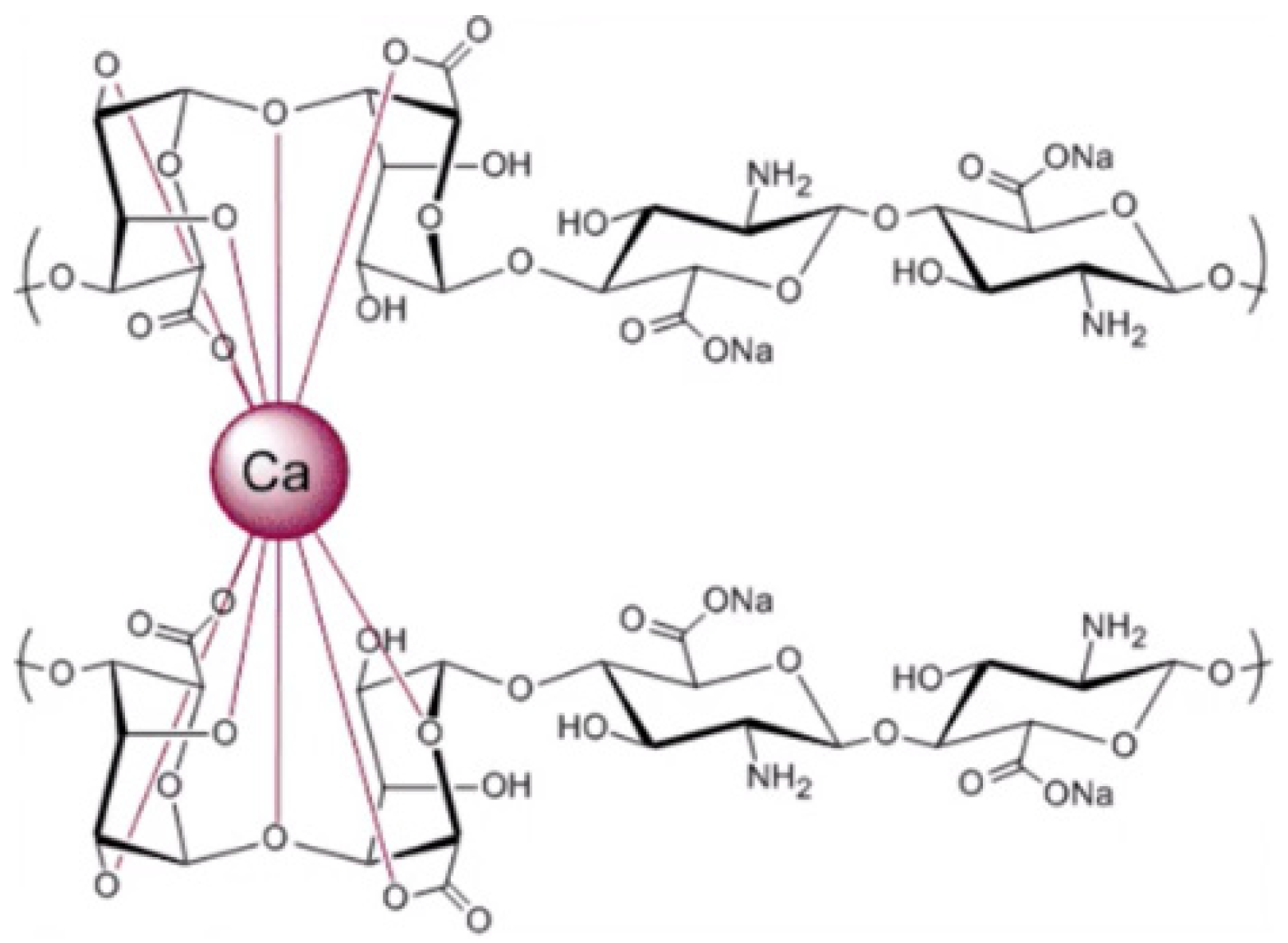Molecules 31 01077 g007 Molecules 31 01077 g007