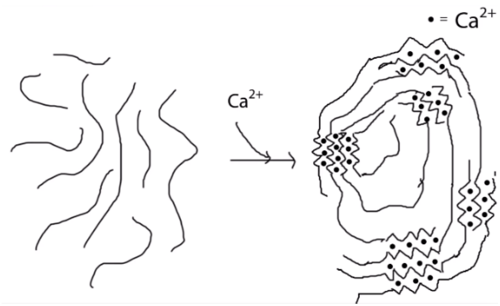 Molecules 31 01077 g008 Molecules 31 01077 g008