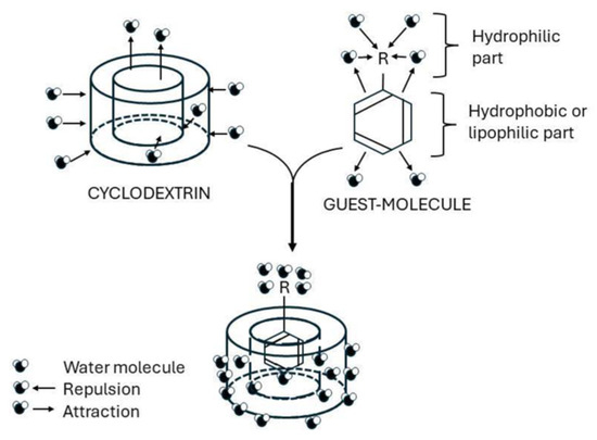 Molecules 31 01077 g009